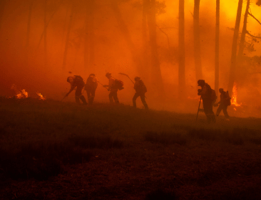 Firefighters during a firefighting operation