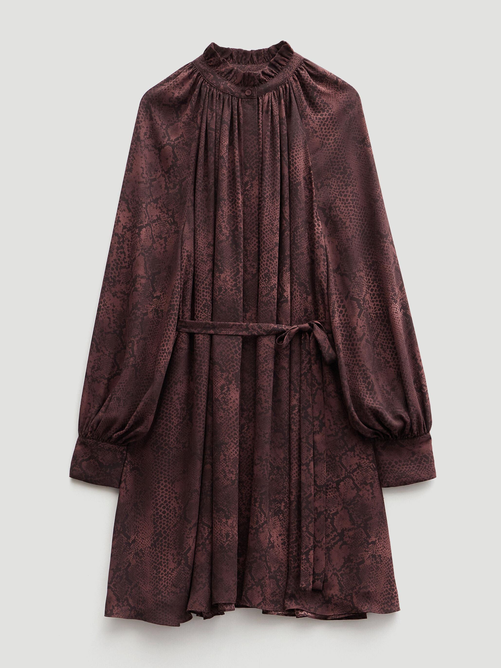 Printed Chiffon Mini Dress