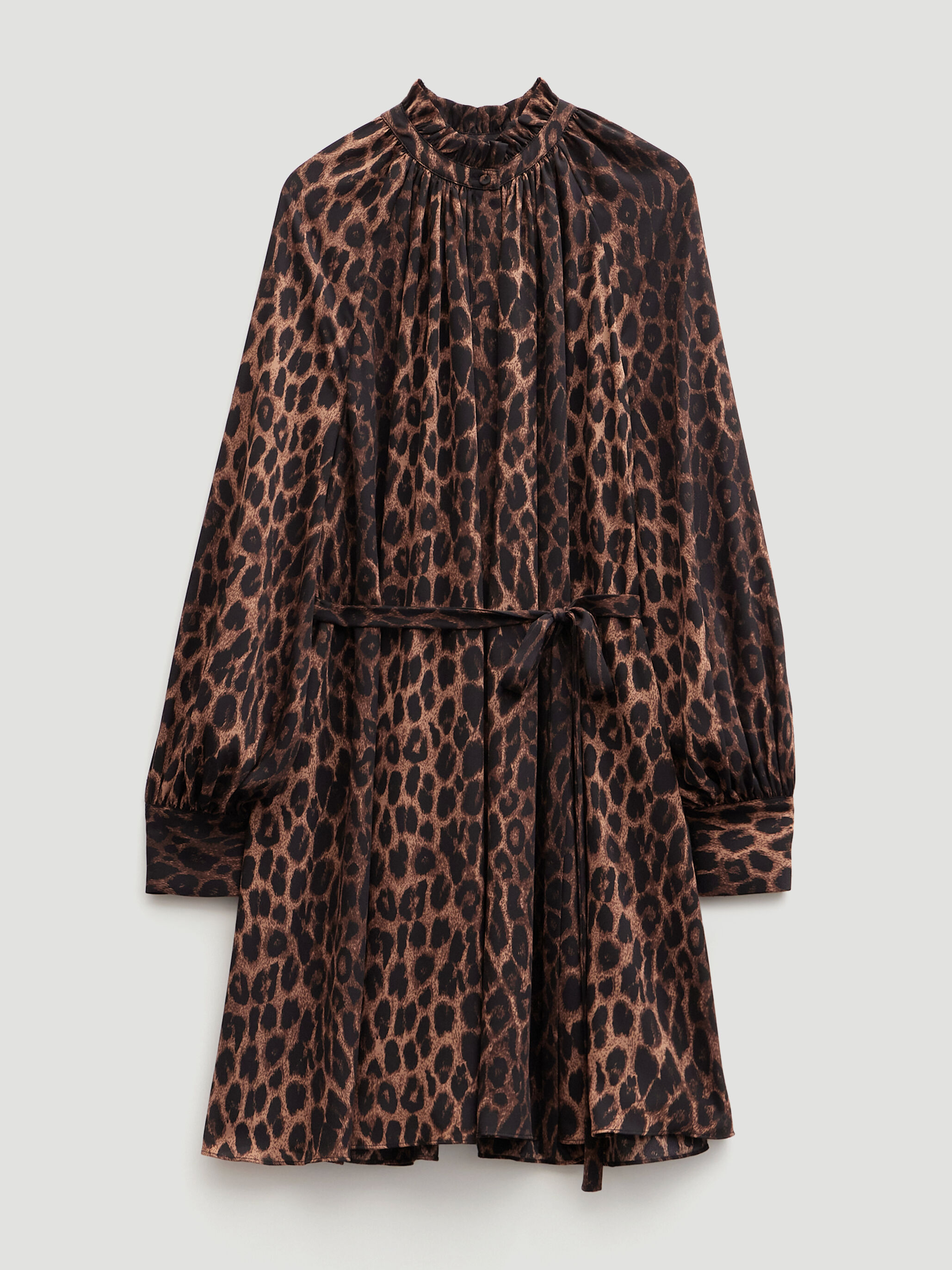 Printed Chiffon Mini Dress