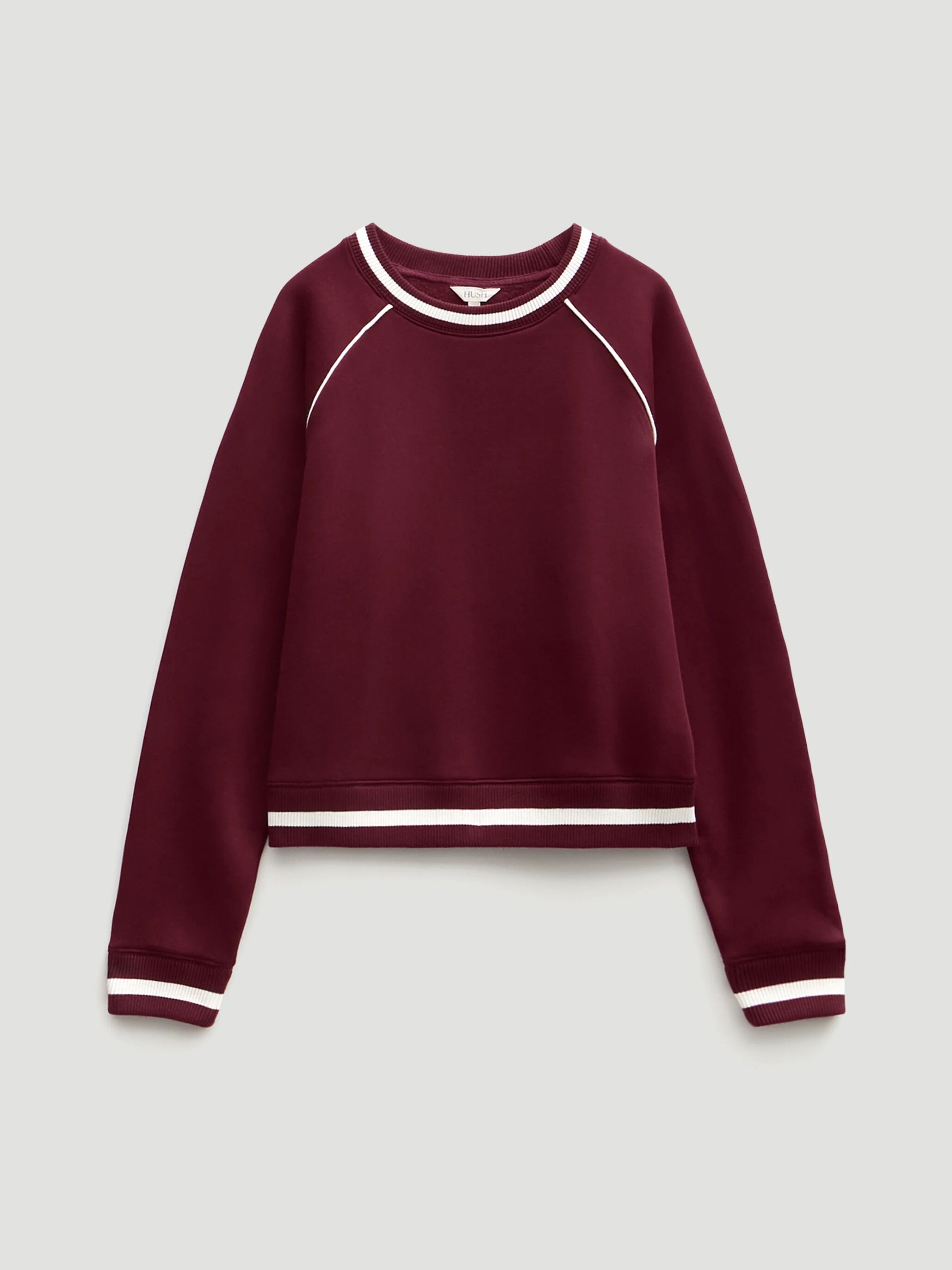Striped Rib Raglan Sweatshirt
