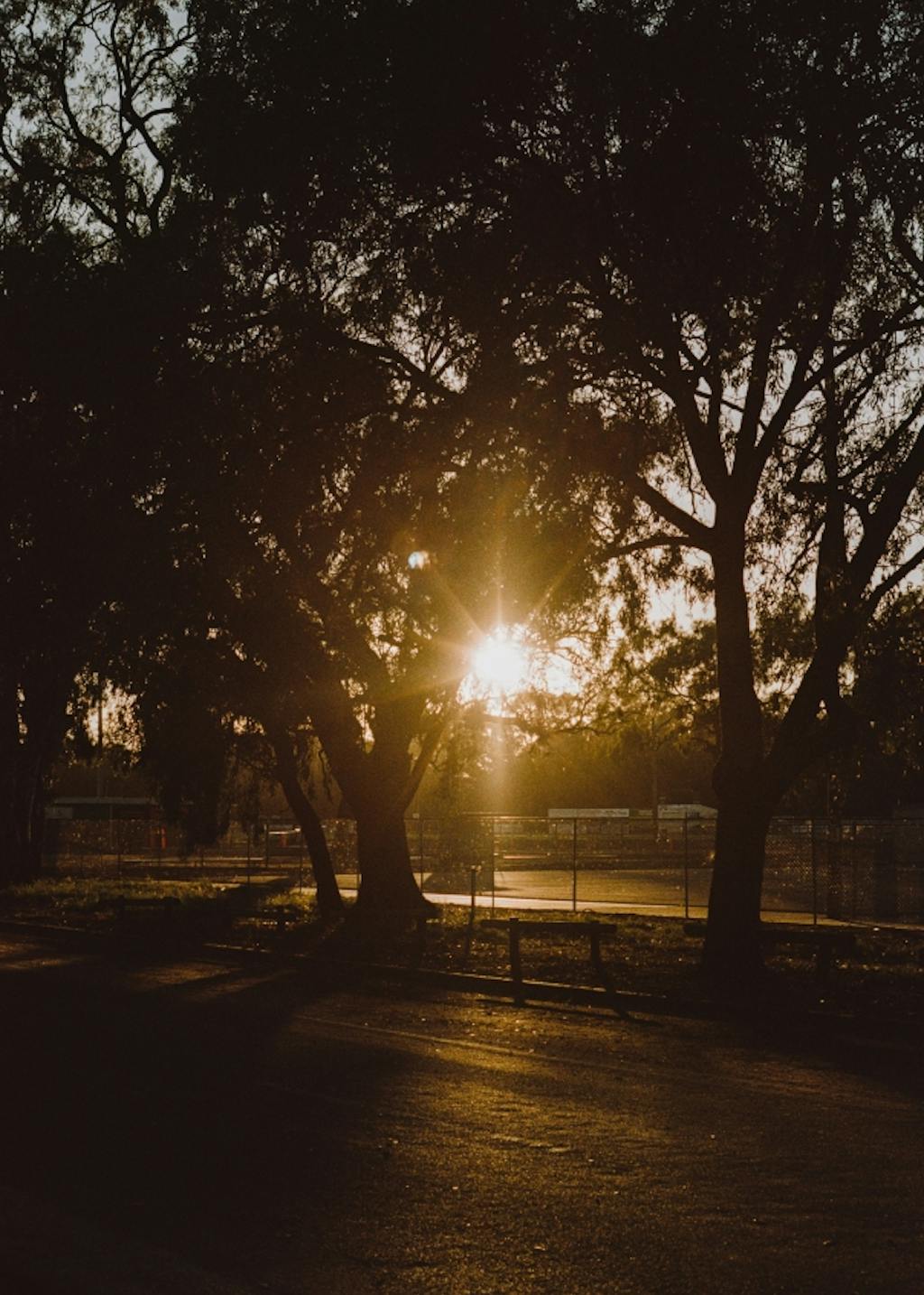 Journal article featured image