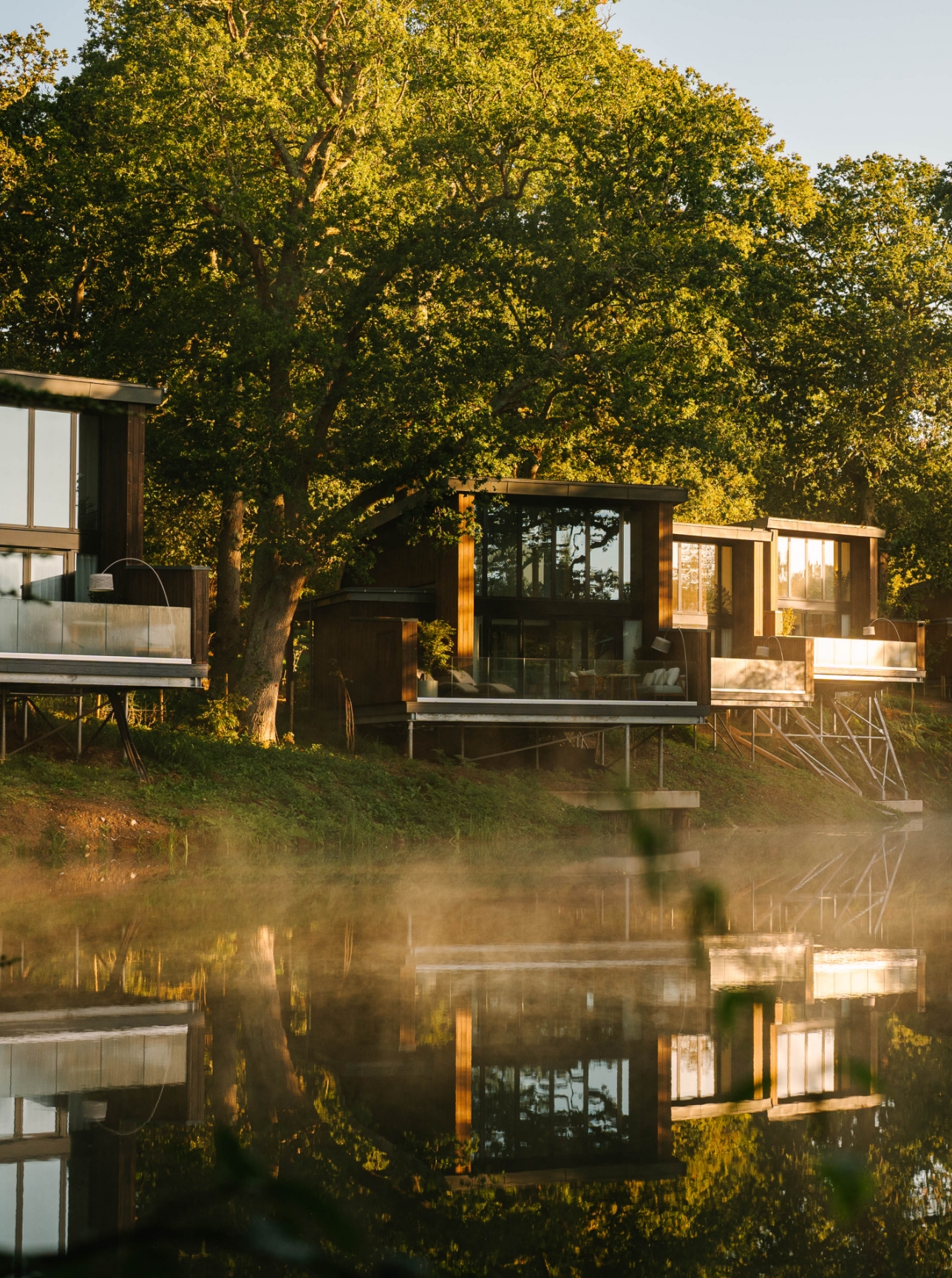 Journal article featured image