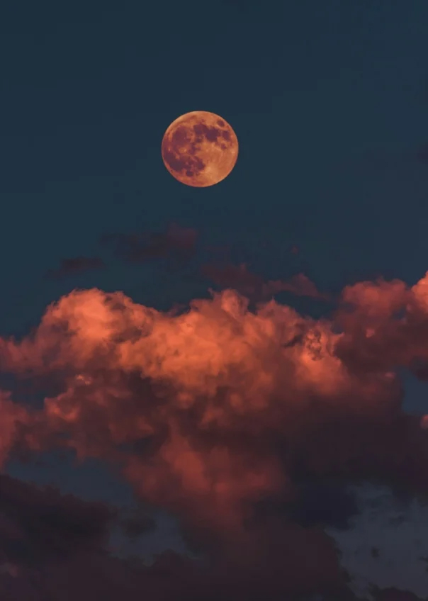 Journal article featured image