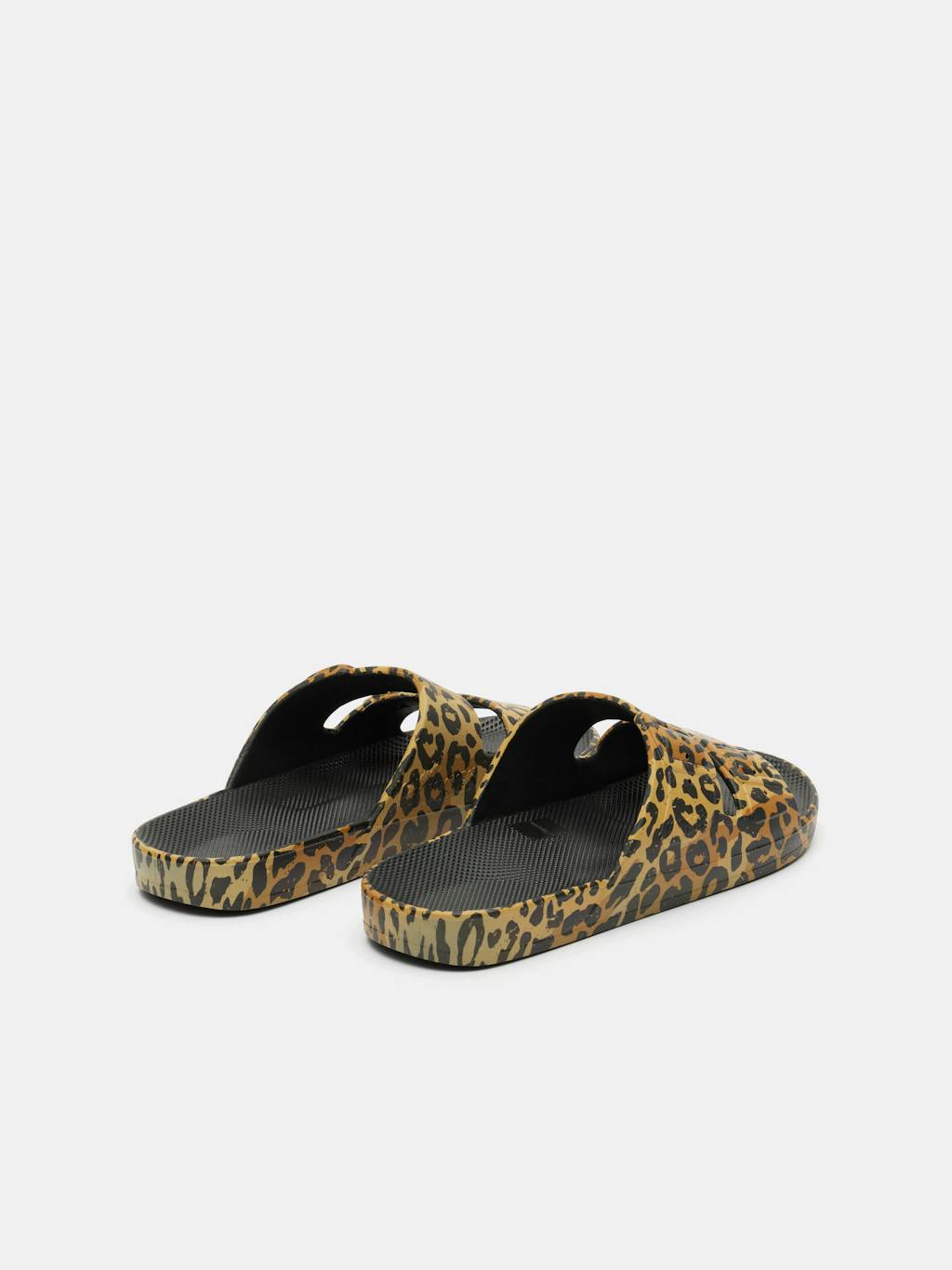 009023-2815-03 Freedom Moses Slides