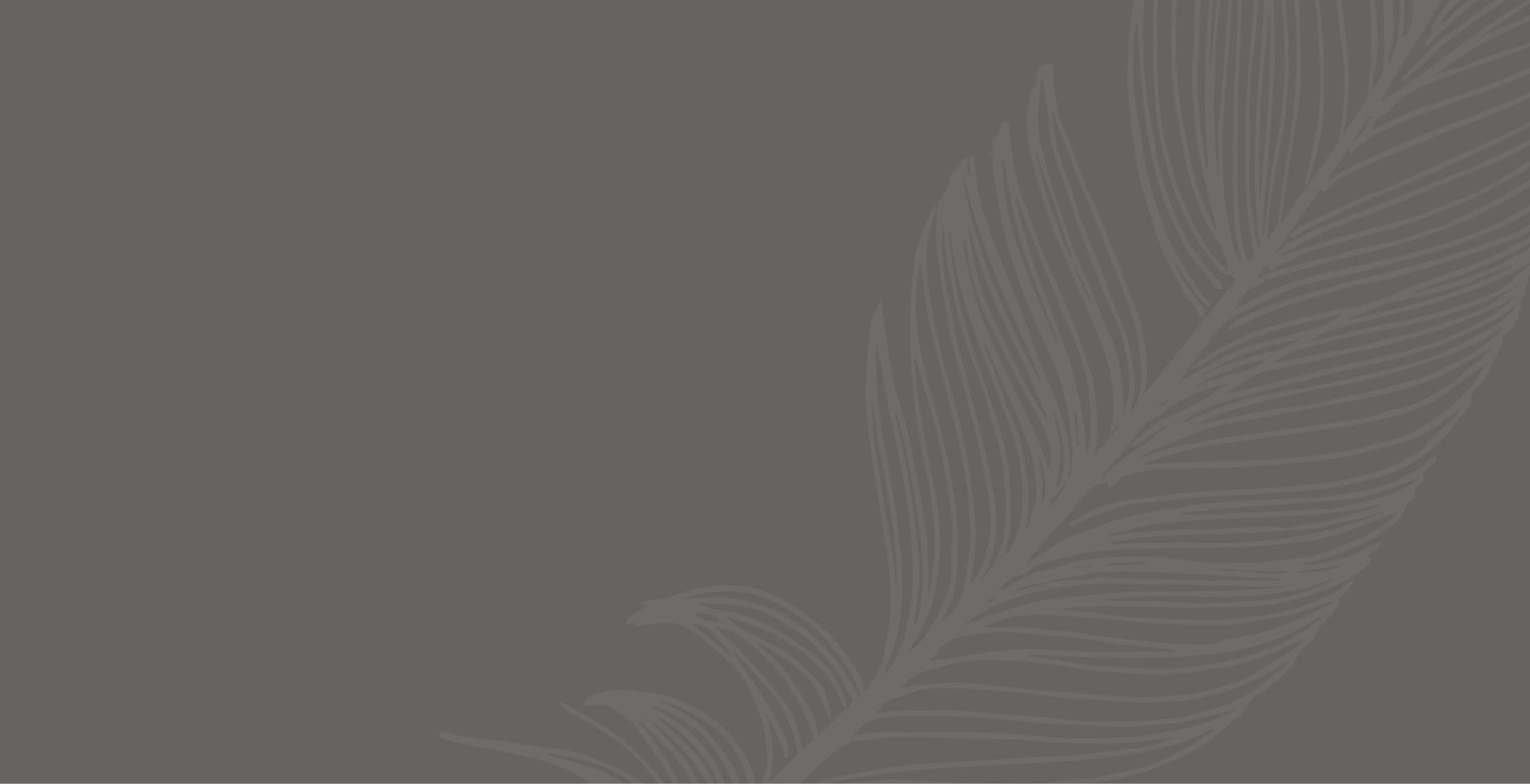 Gray background with white feather