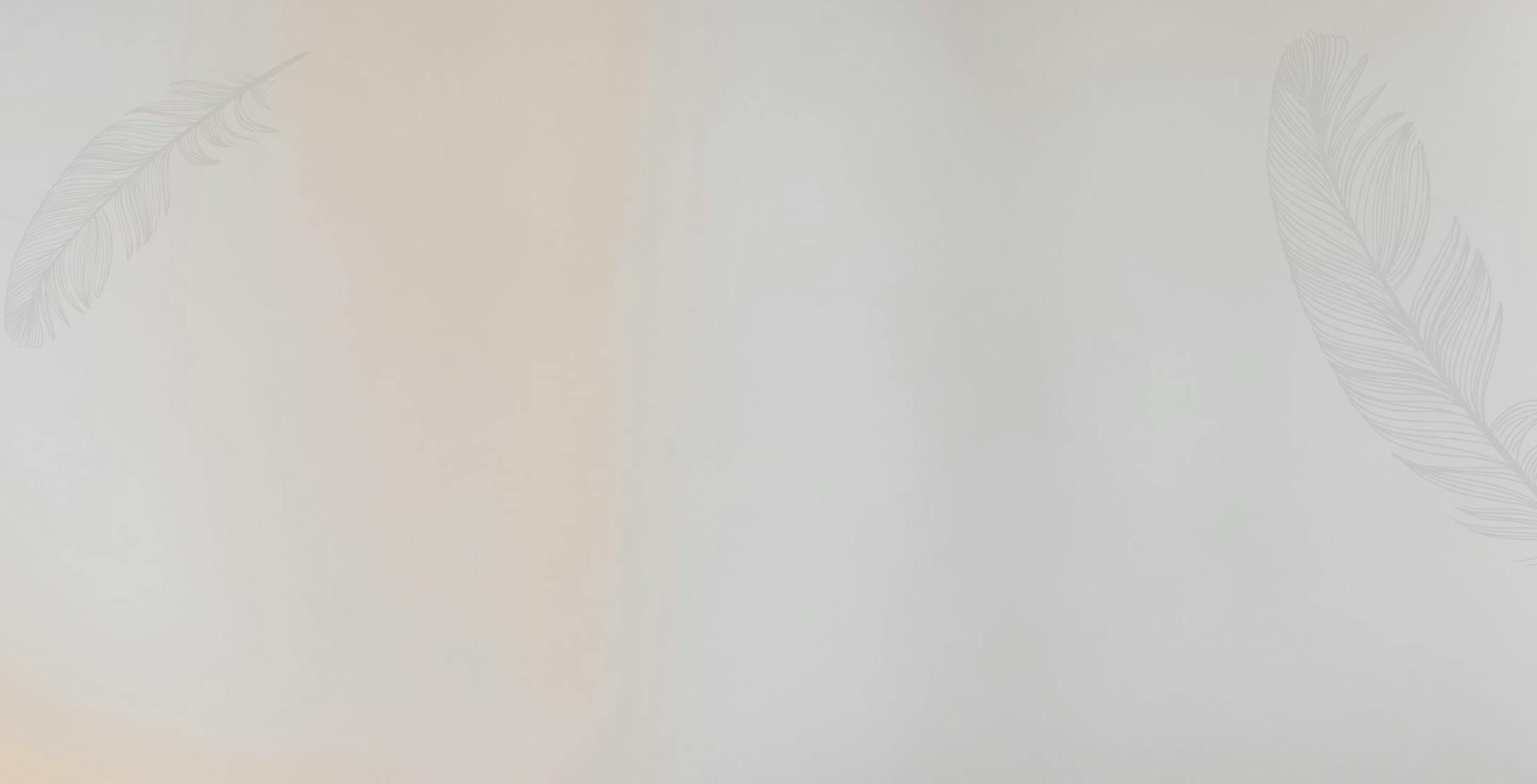 Faded gray background