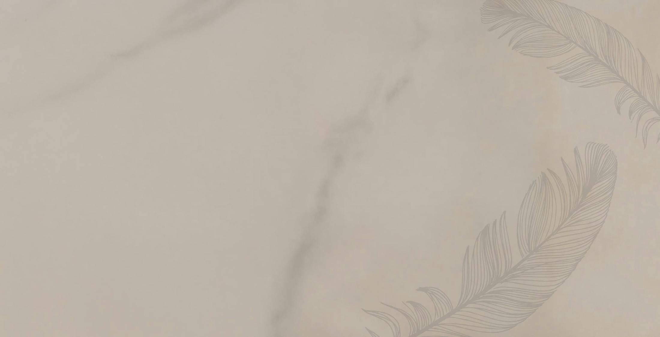 Faded dark beige background