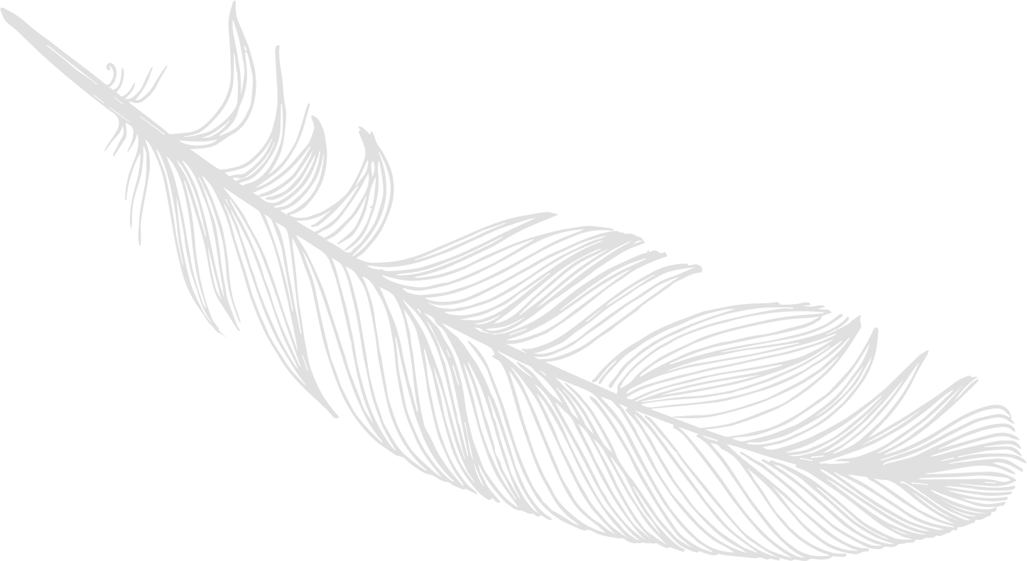 Image of a feather