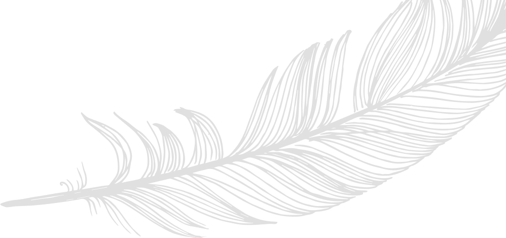 Image of a feather