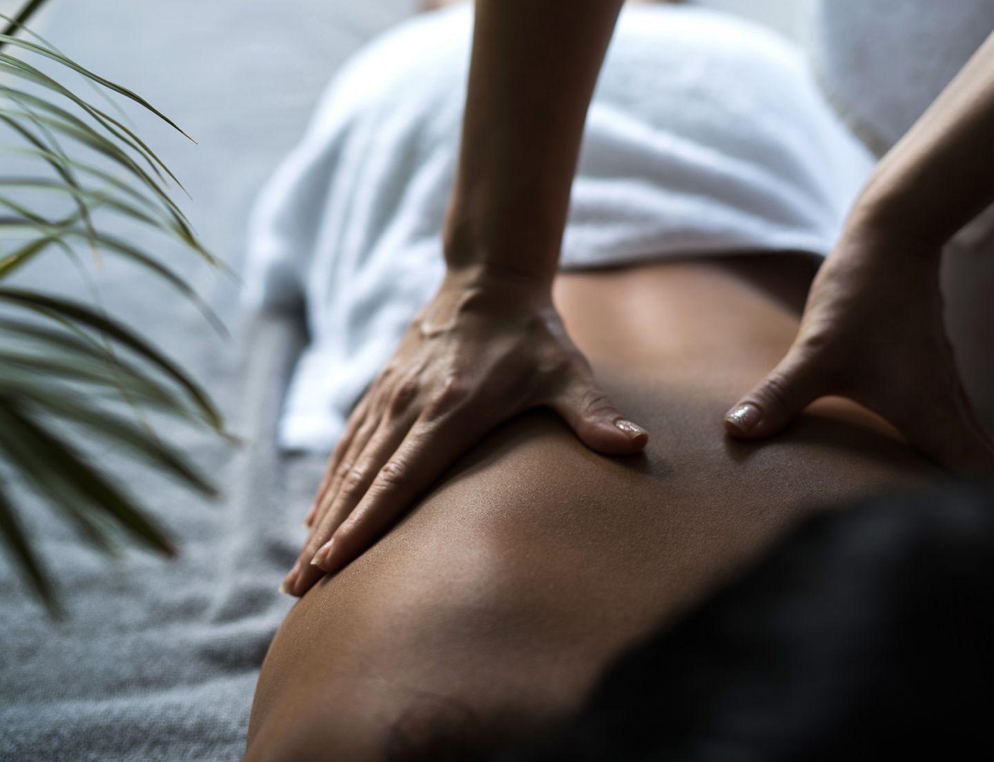 SpaSeekers Massage Image