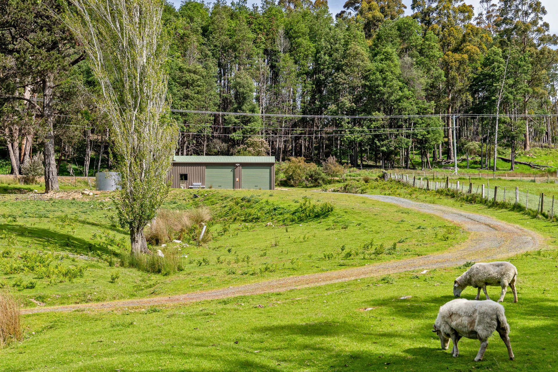 countryside