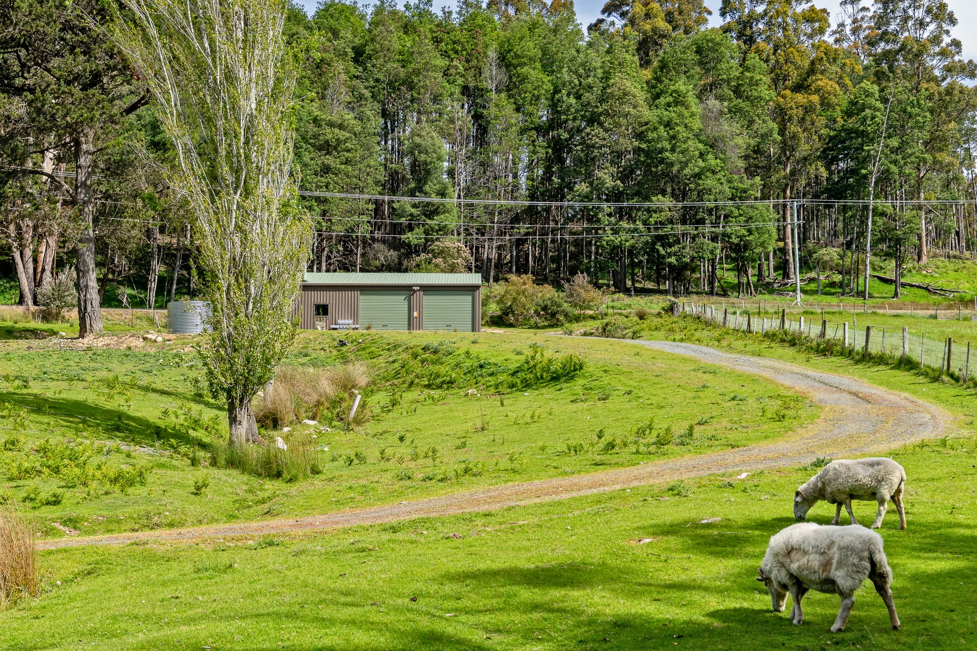 countryside