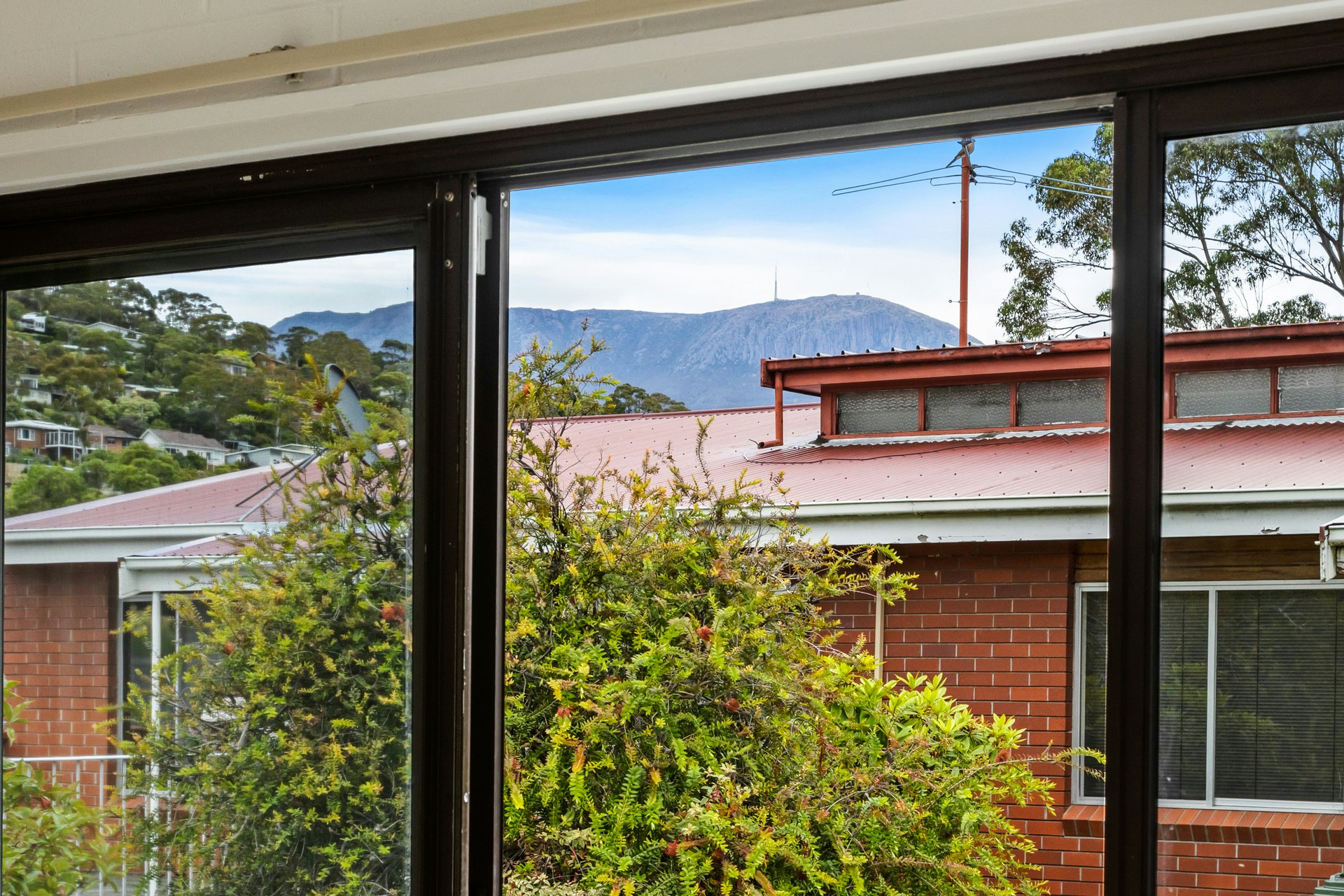 window
