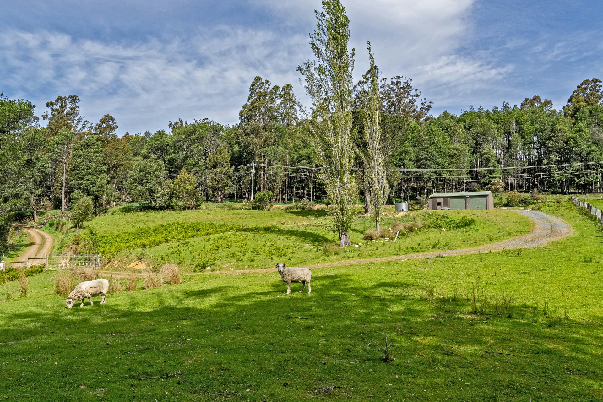 countryside