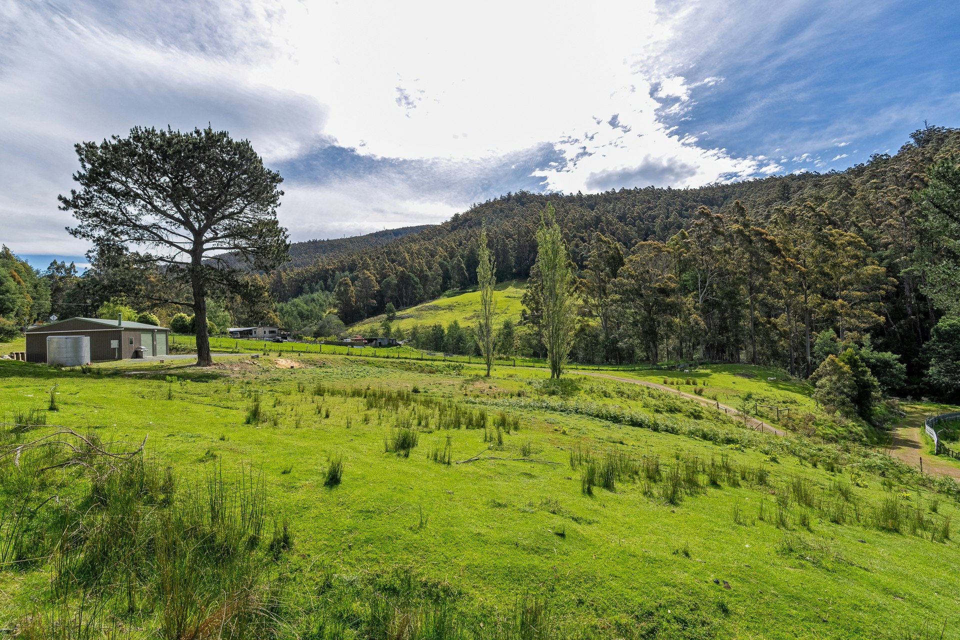 countryside