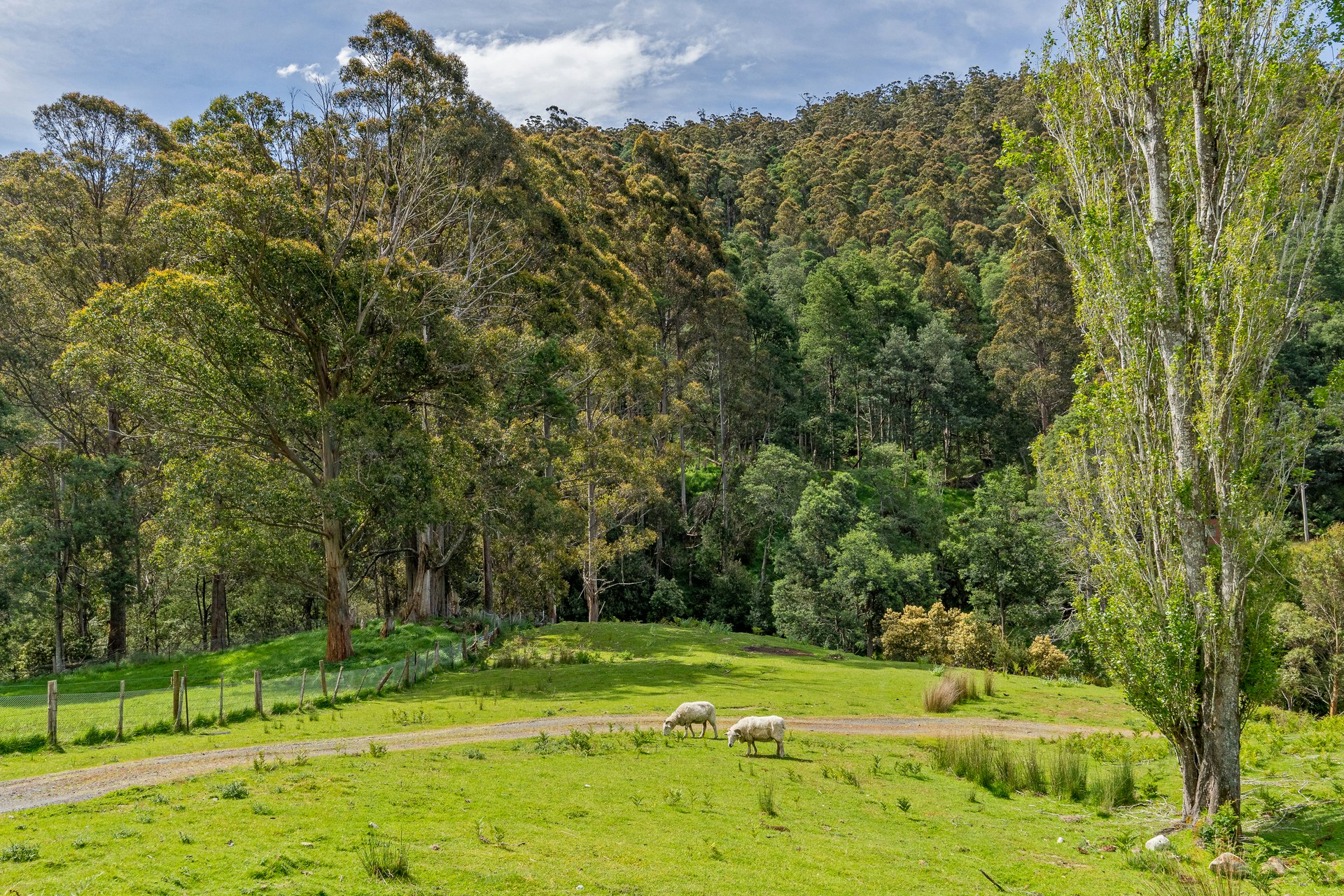 countryside