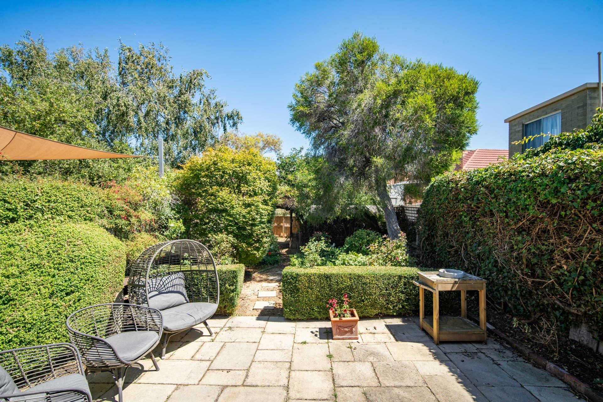 backyard