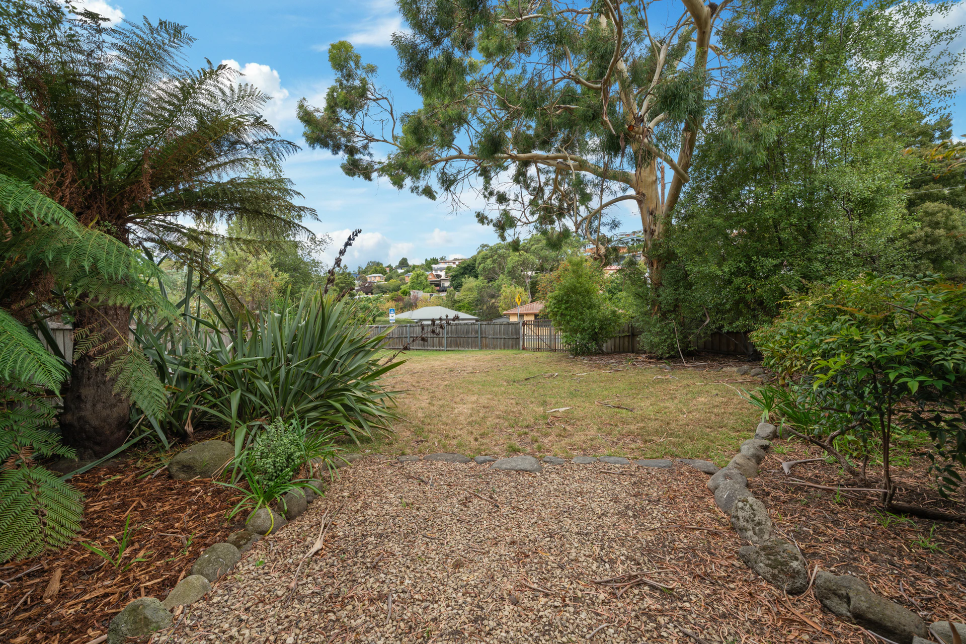 vegetation