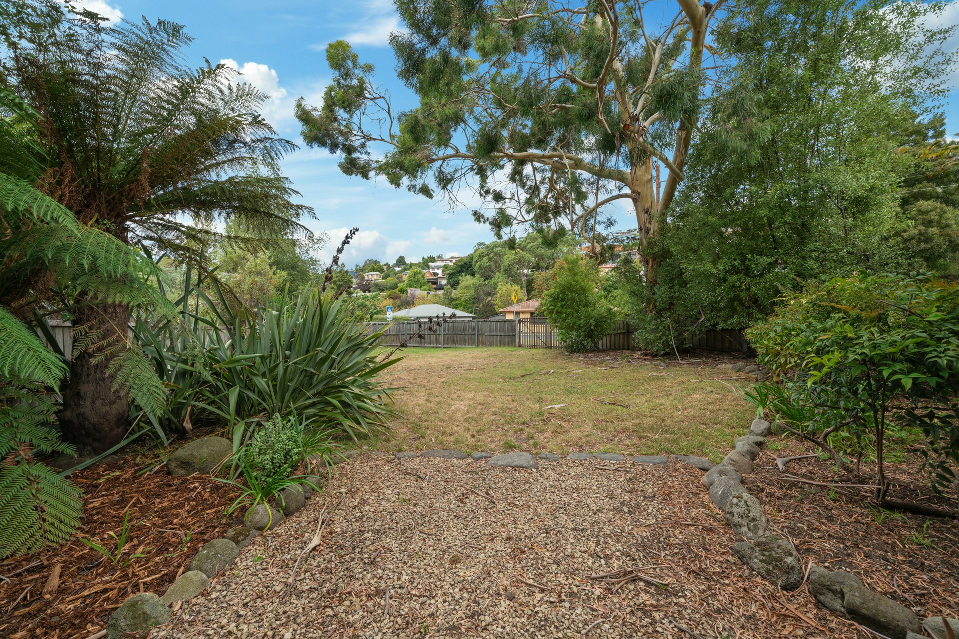 vegetation
