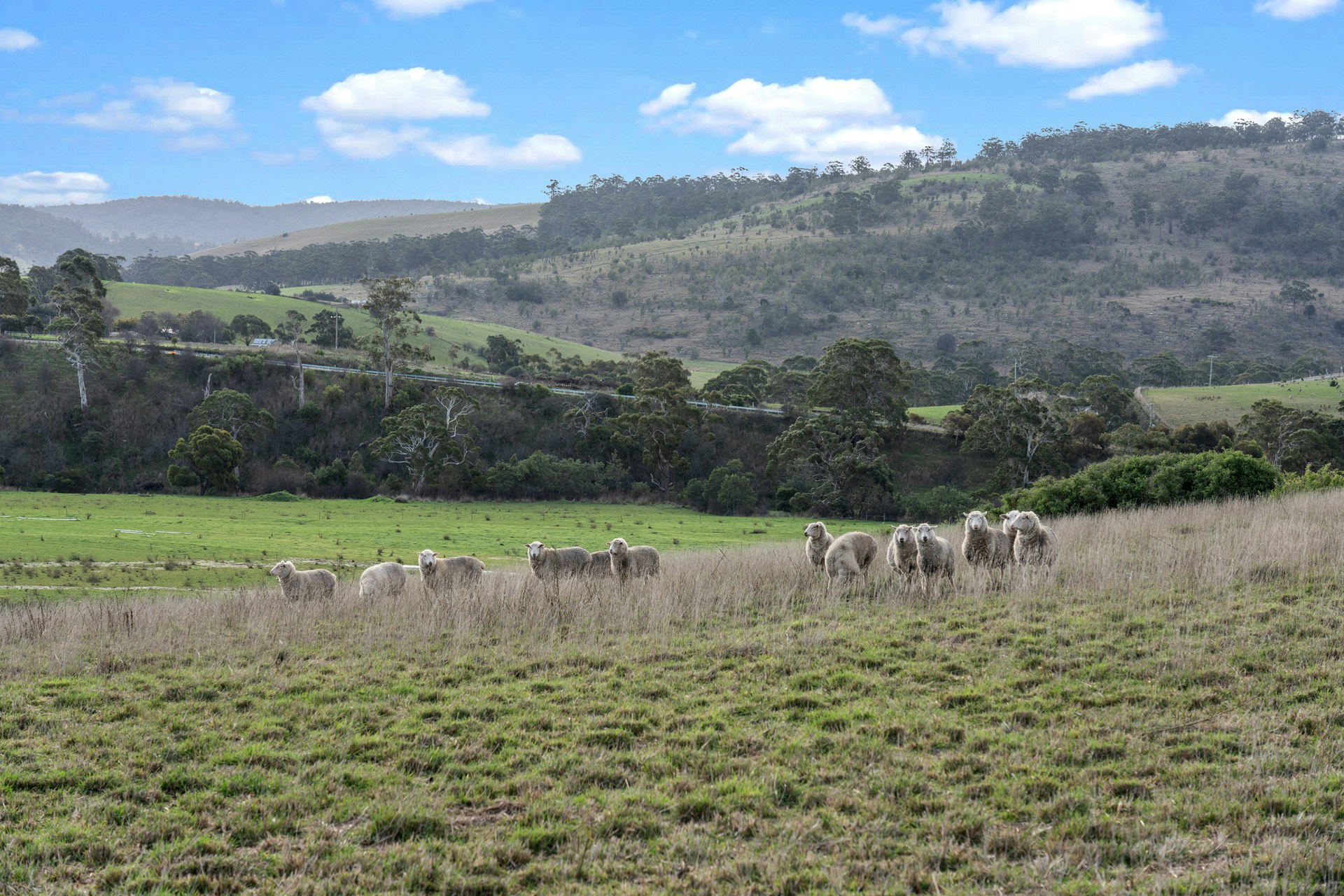 countryside