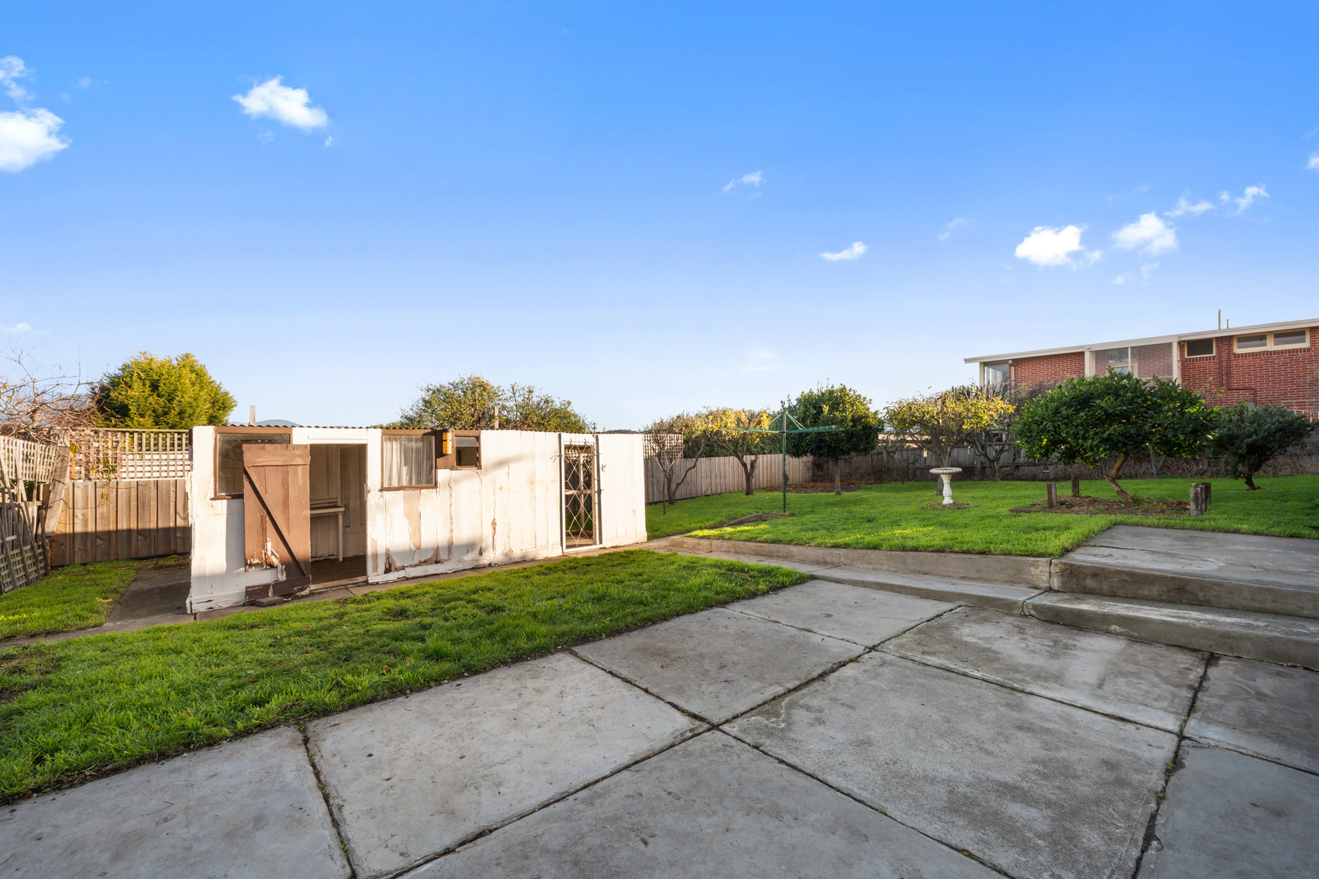 backyard