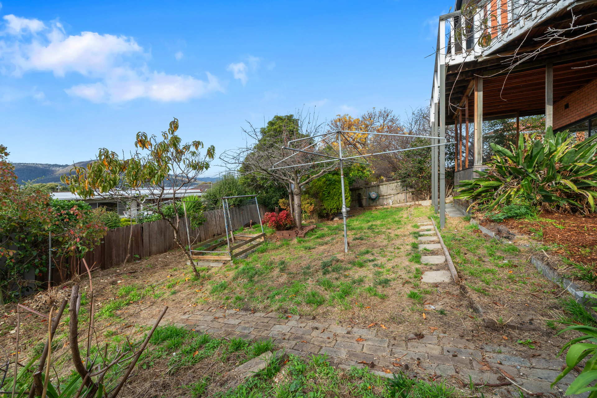 backyard