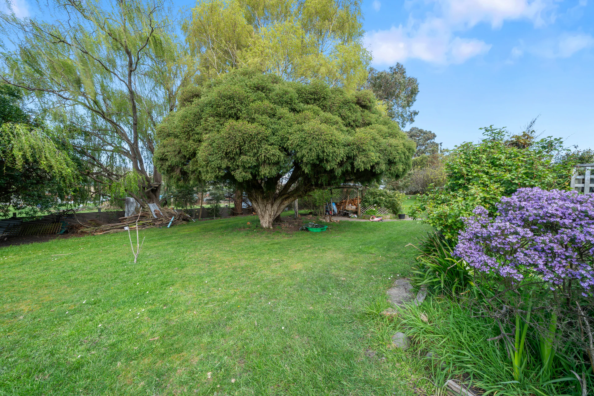 backyard