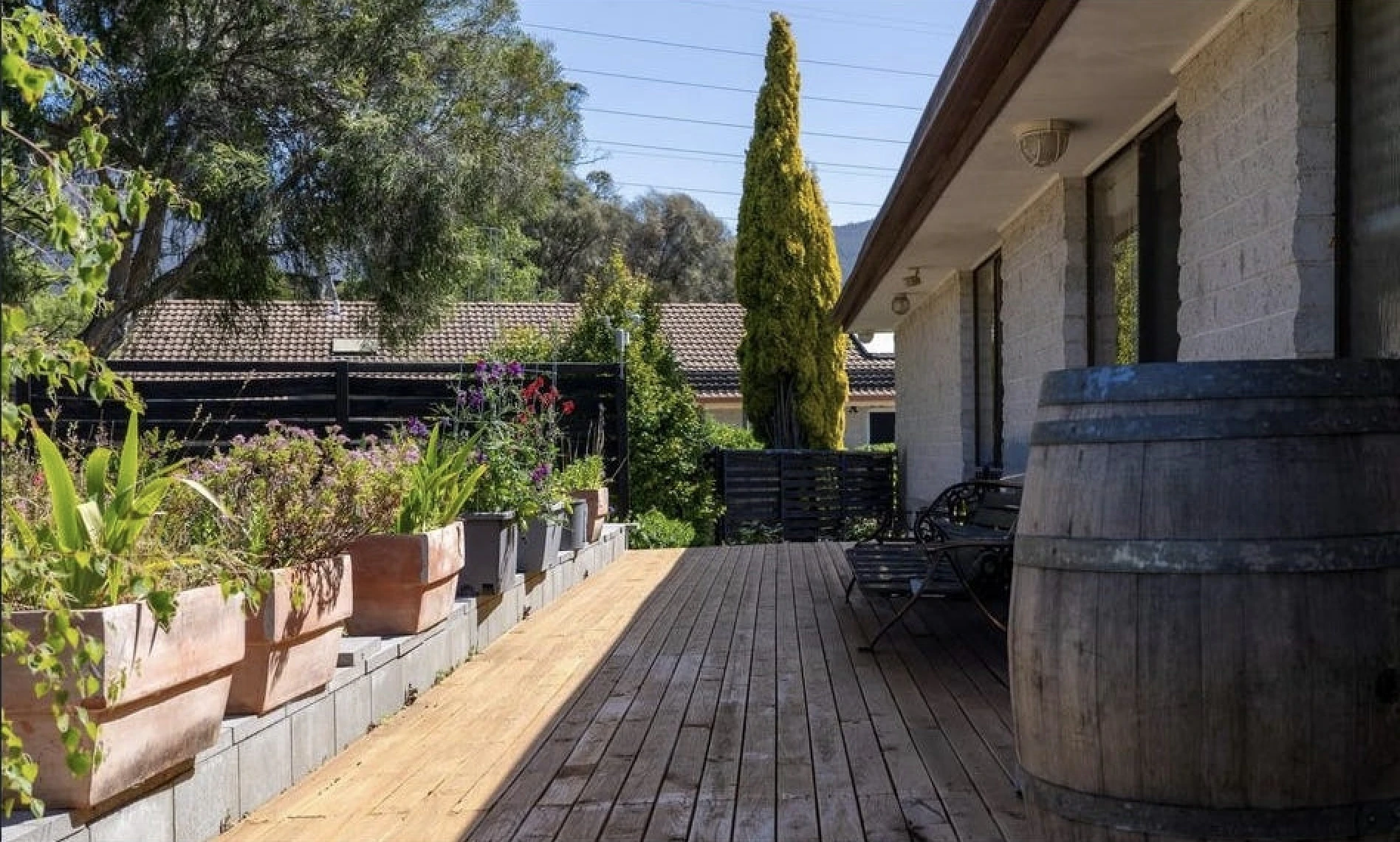 backyard
