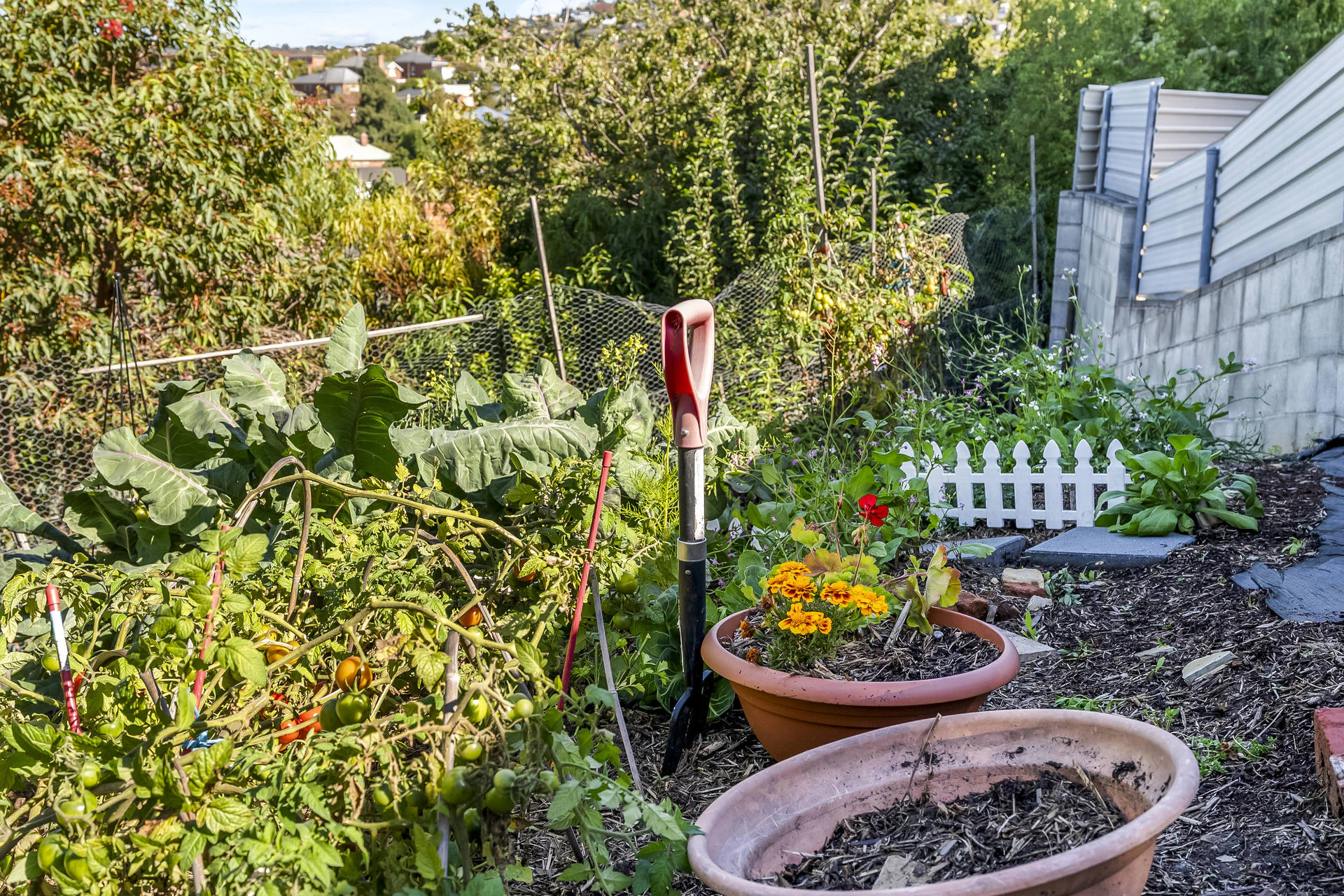 garden