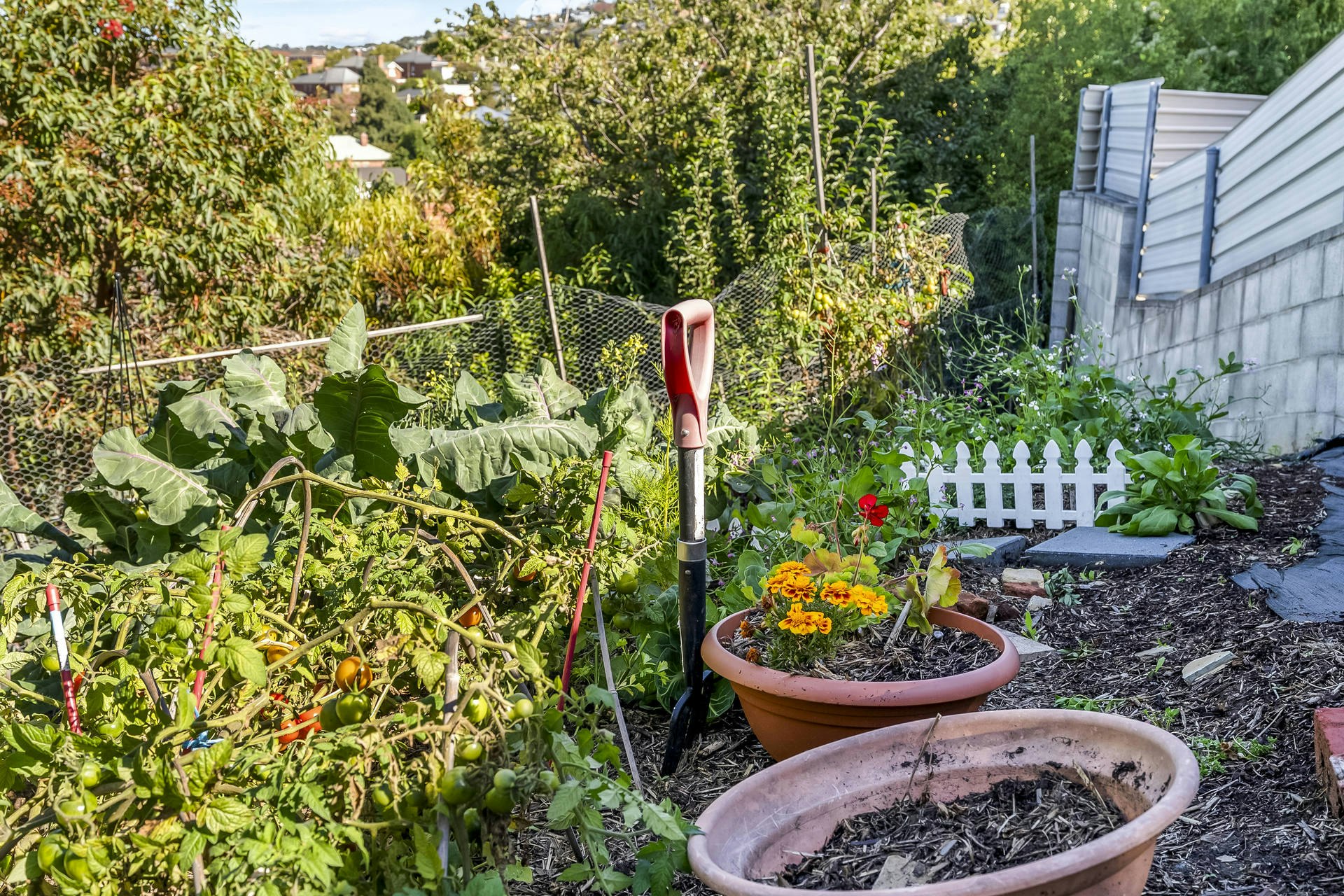 garden