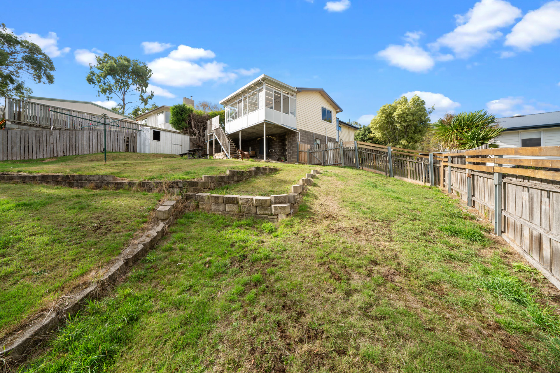 backyard