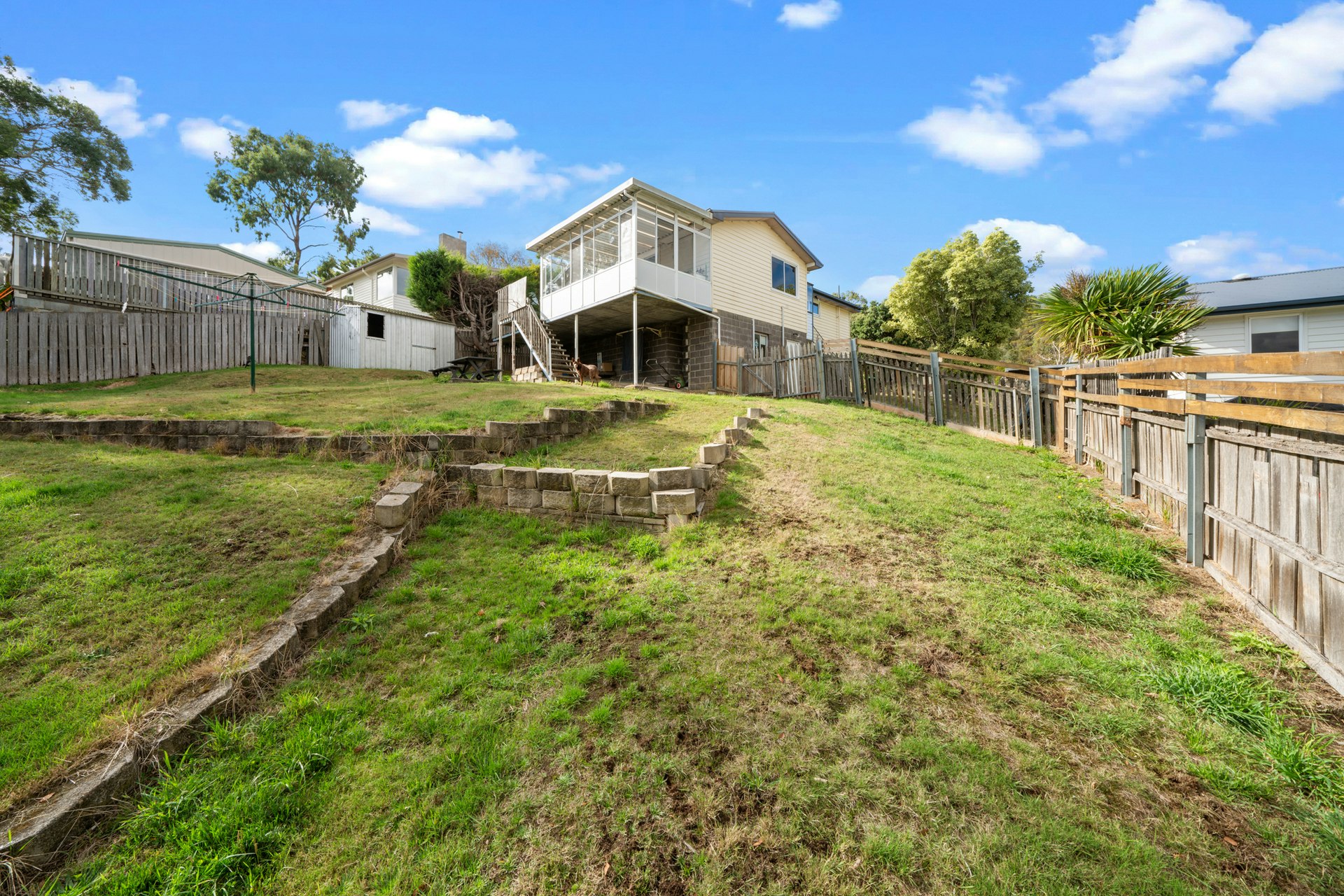 backyard