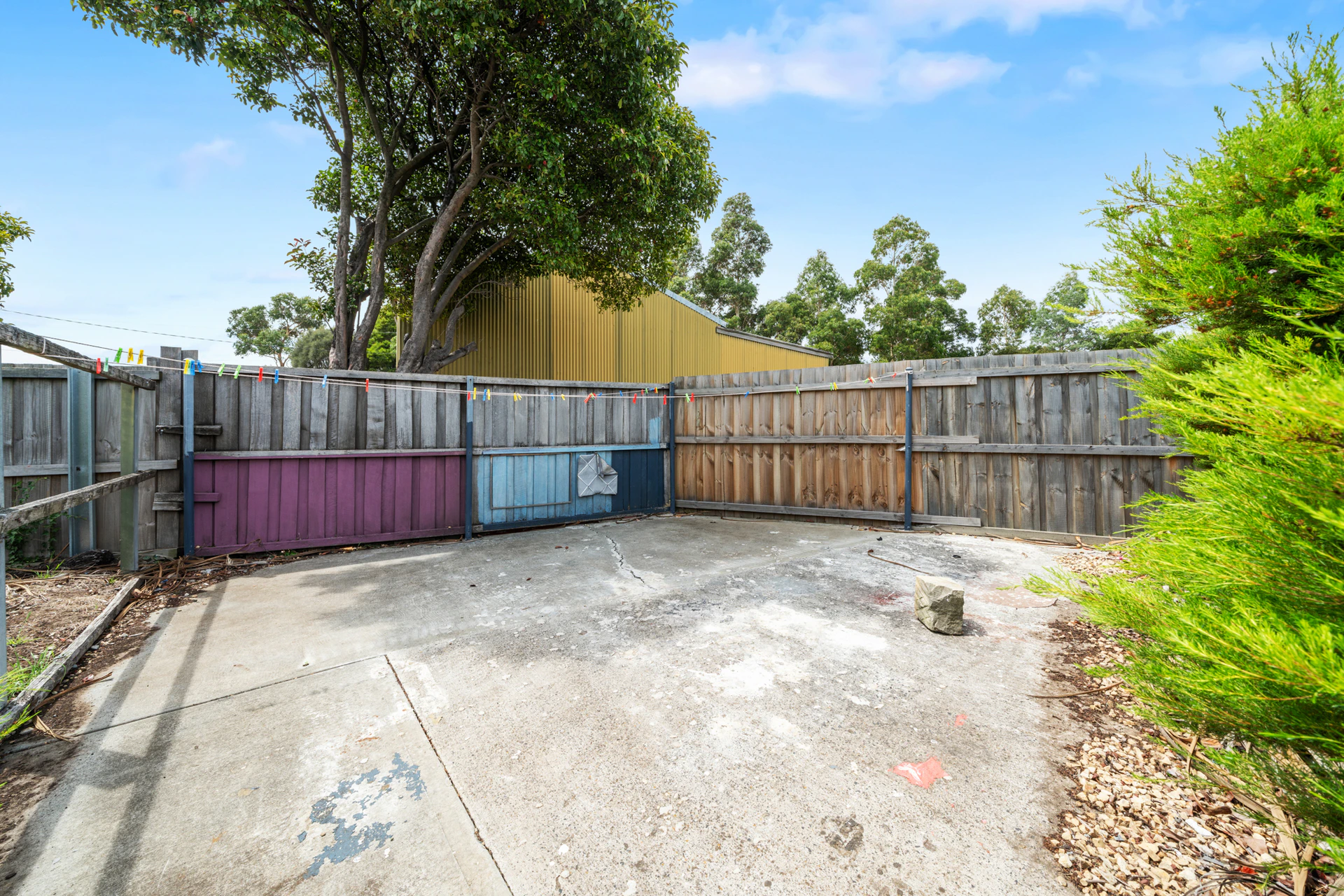 backyard