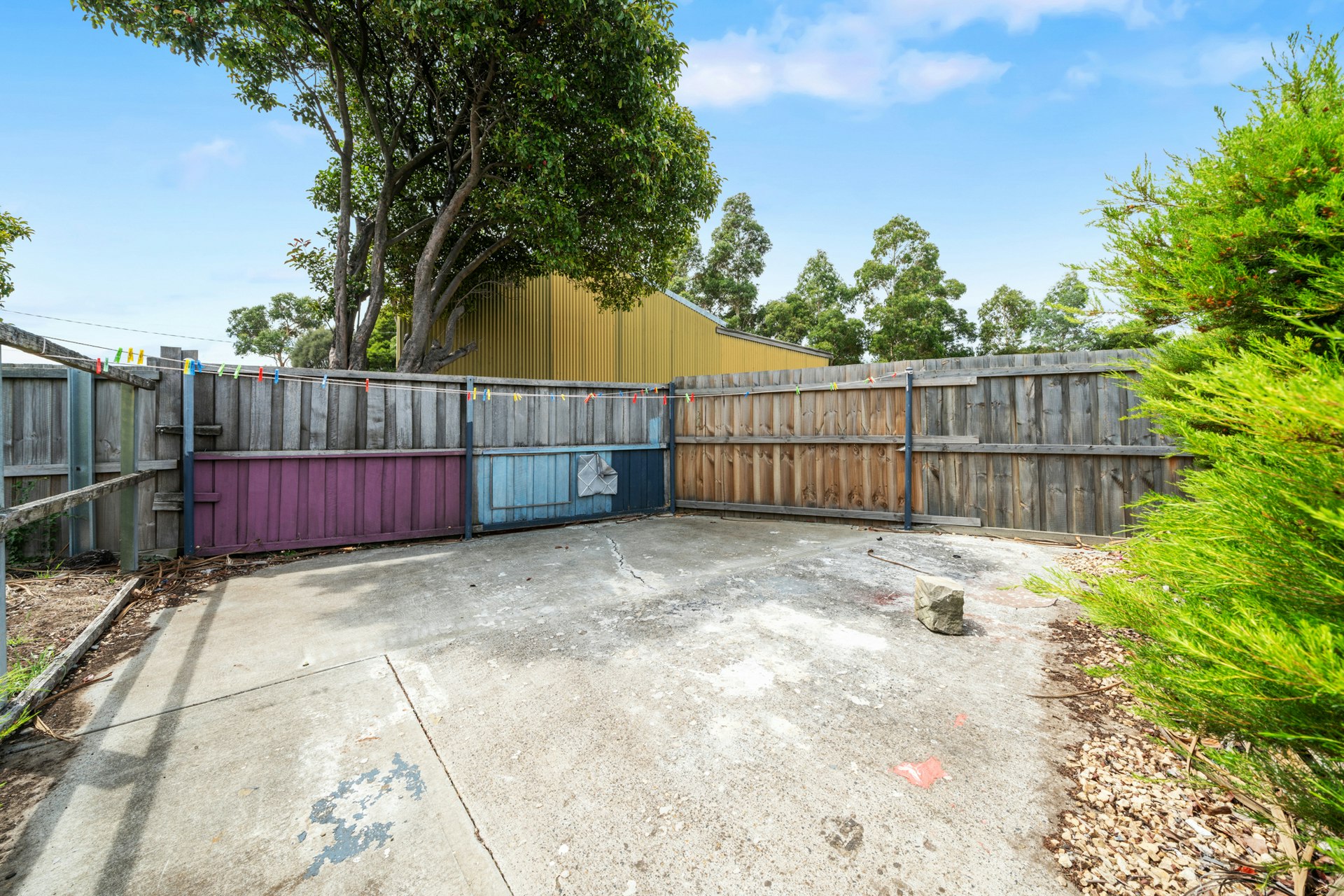 backyard