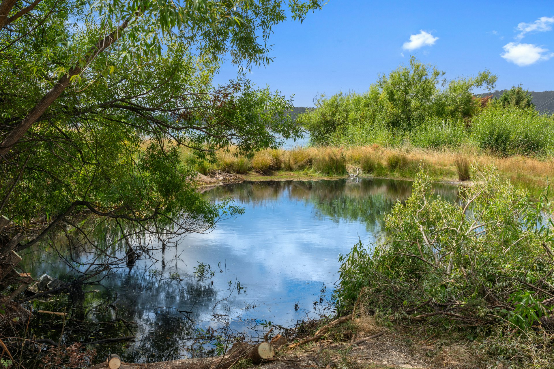 nature