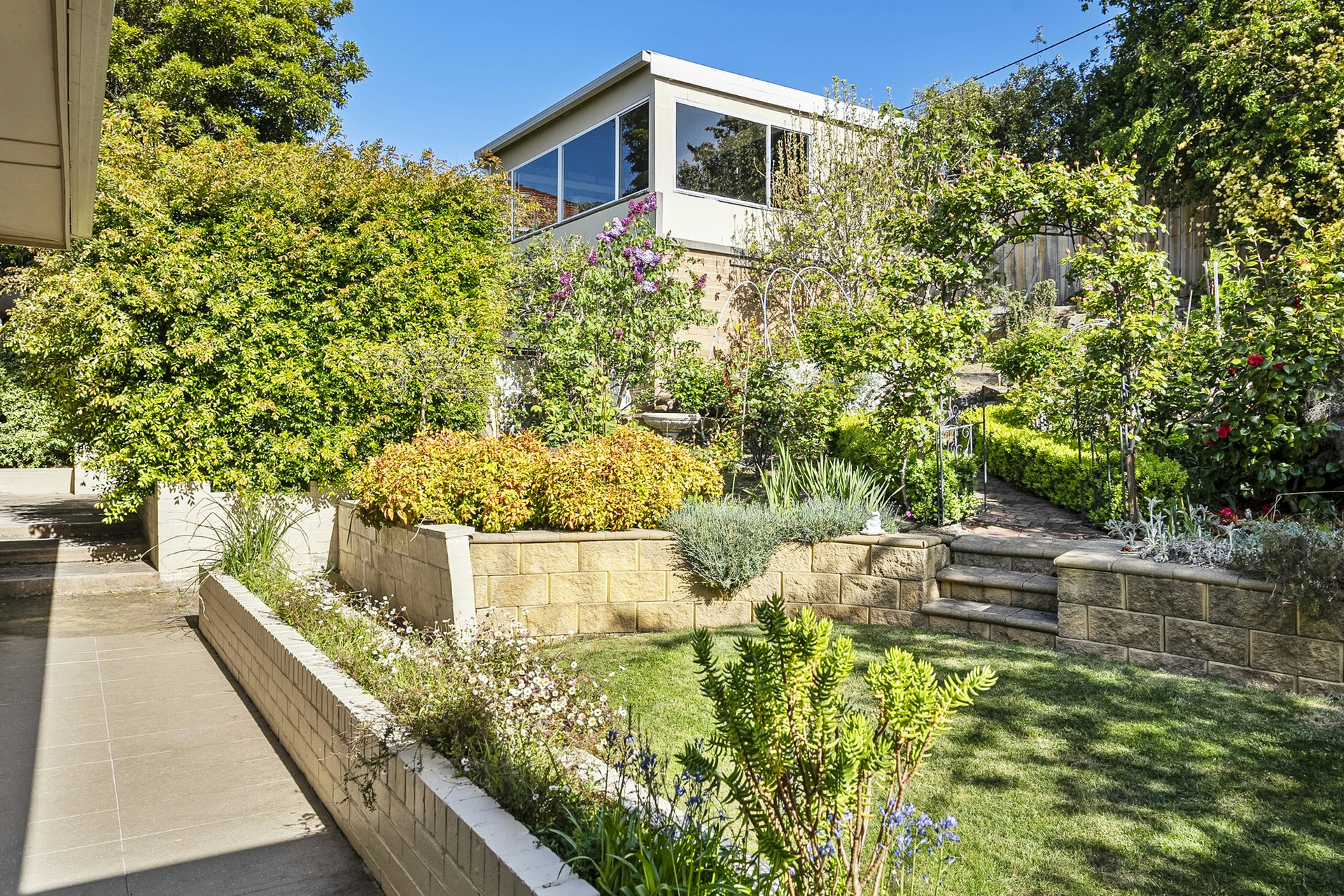 garden