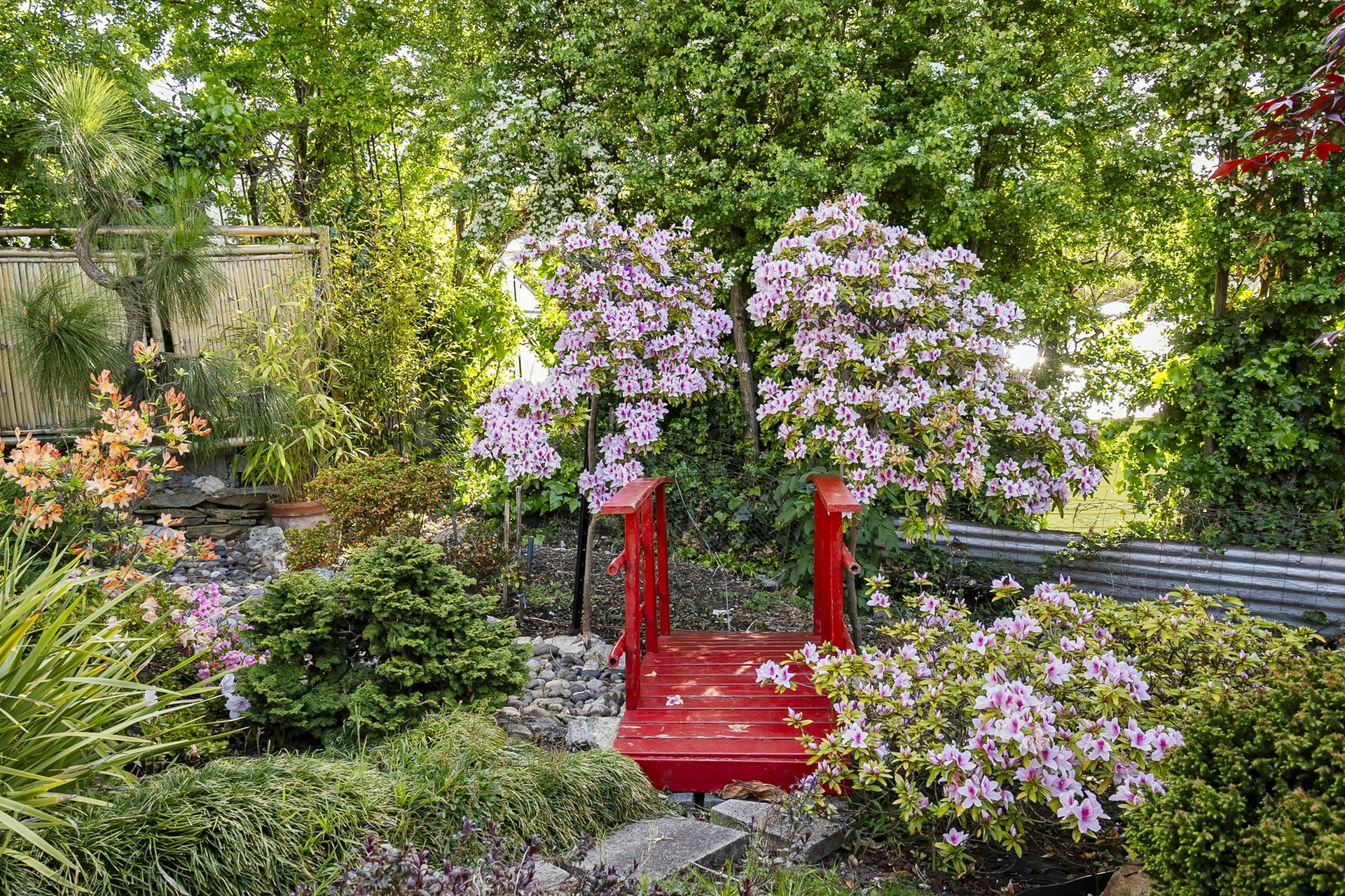 garden