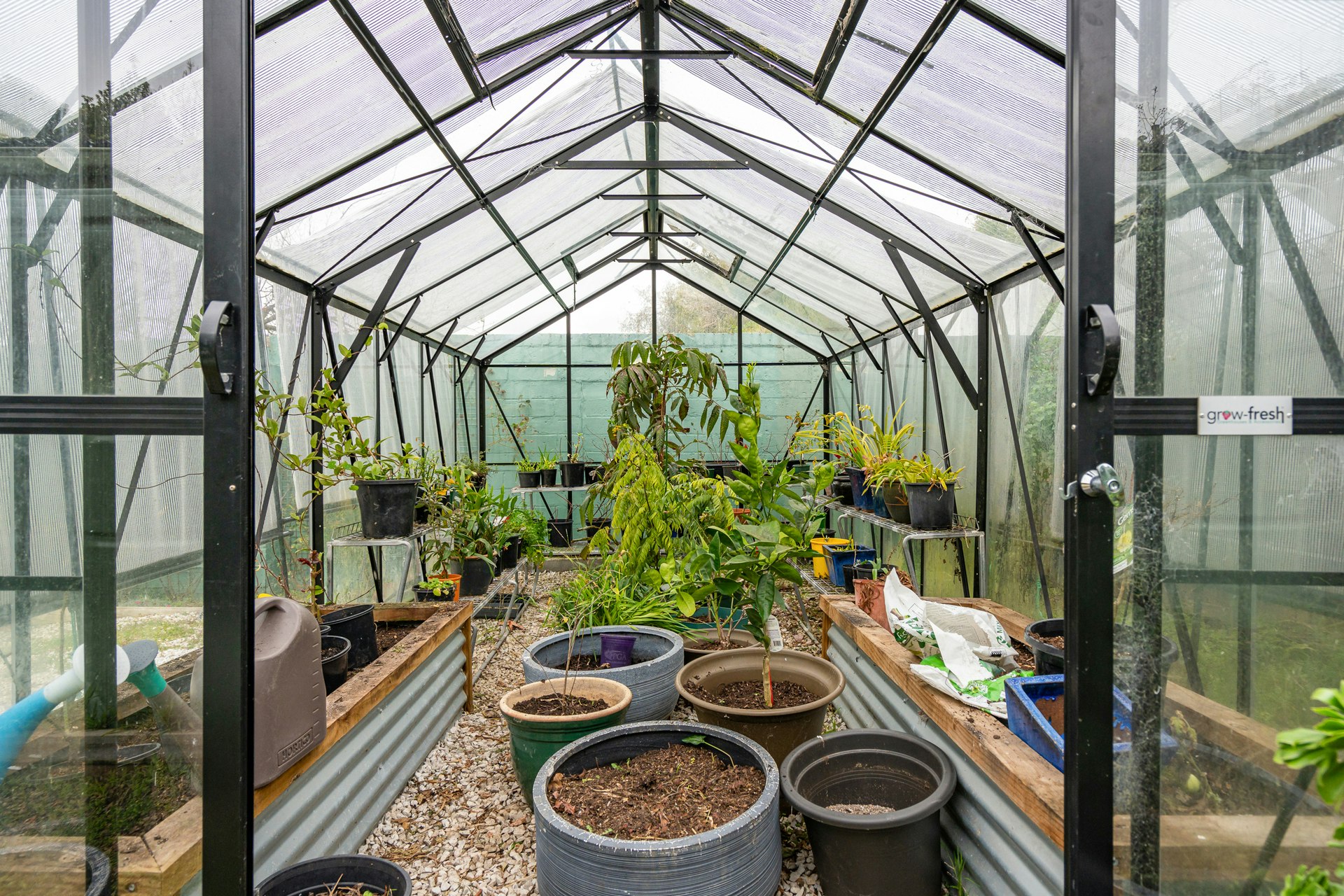 garden