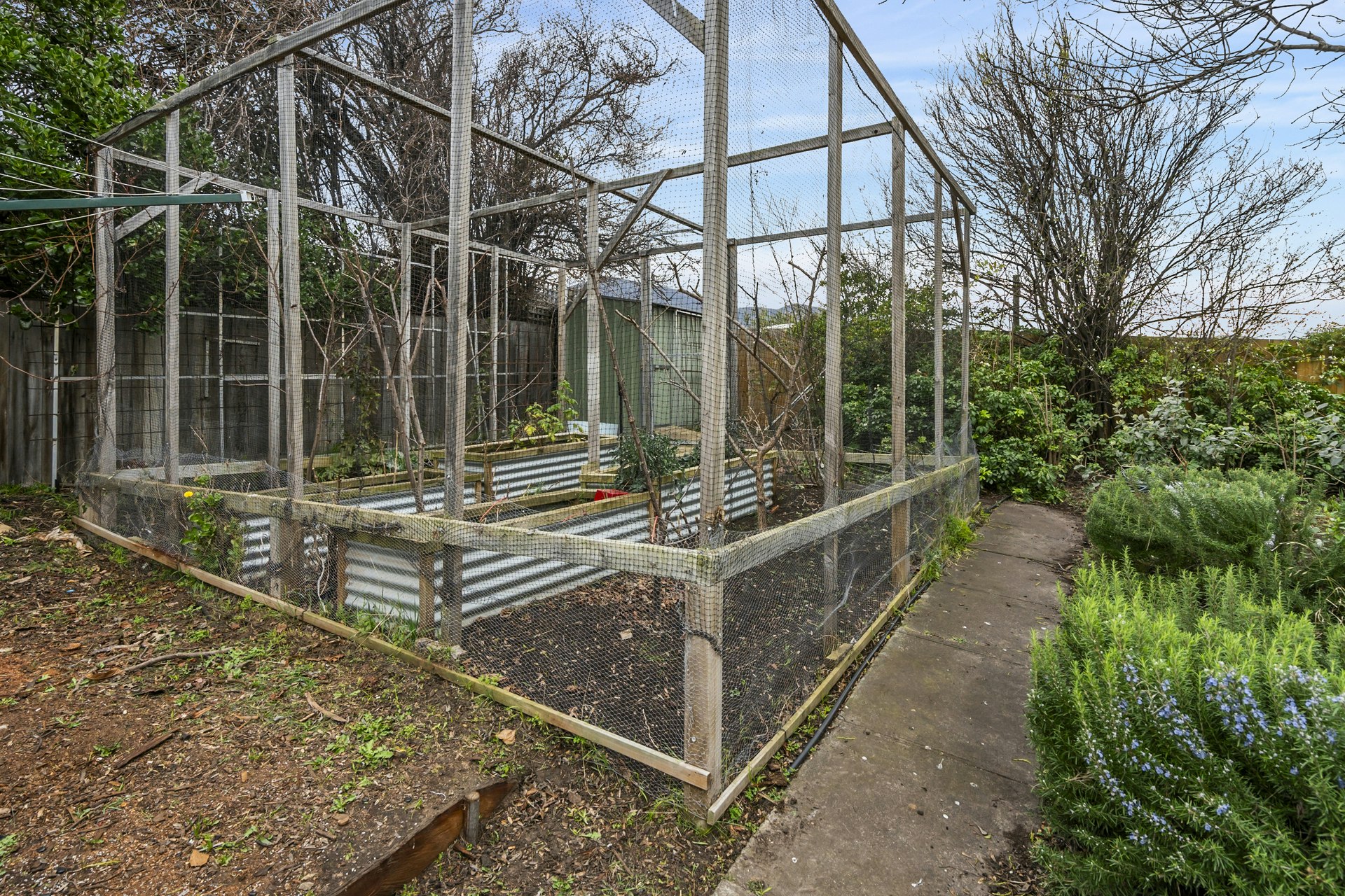 garden