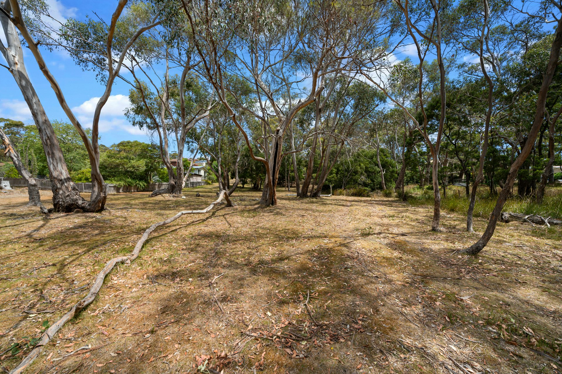 ground