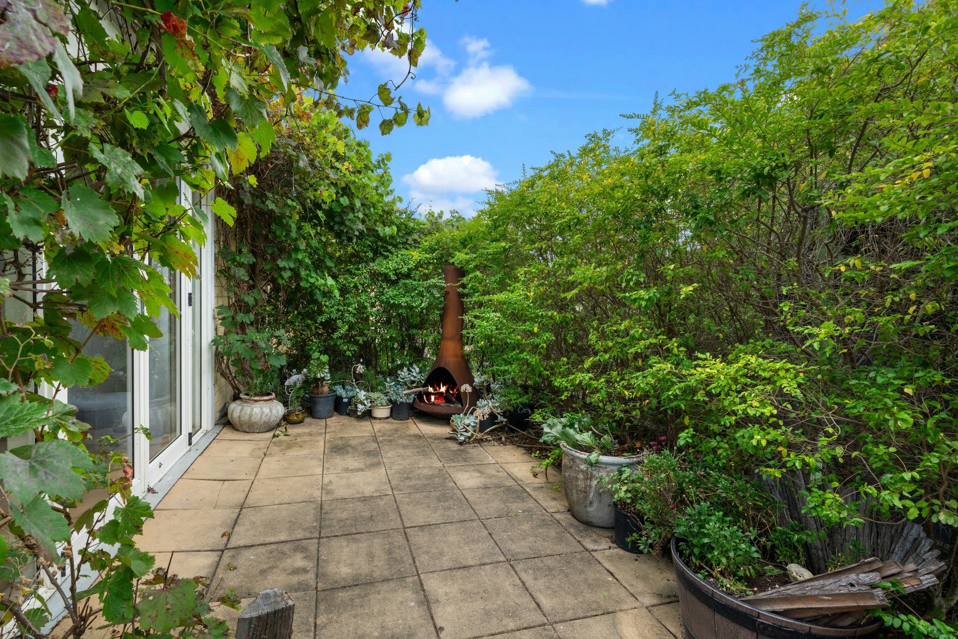 garden