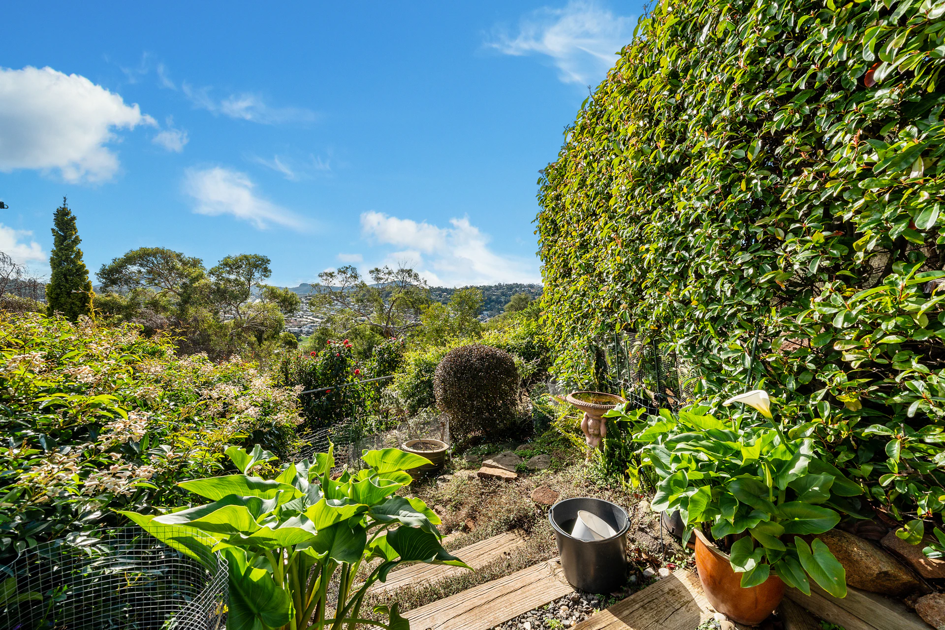 garden