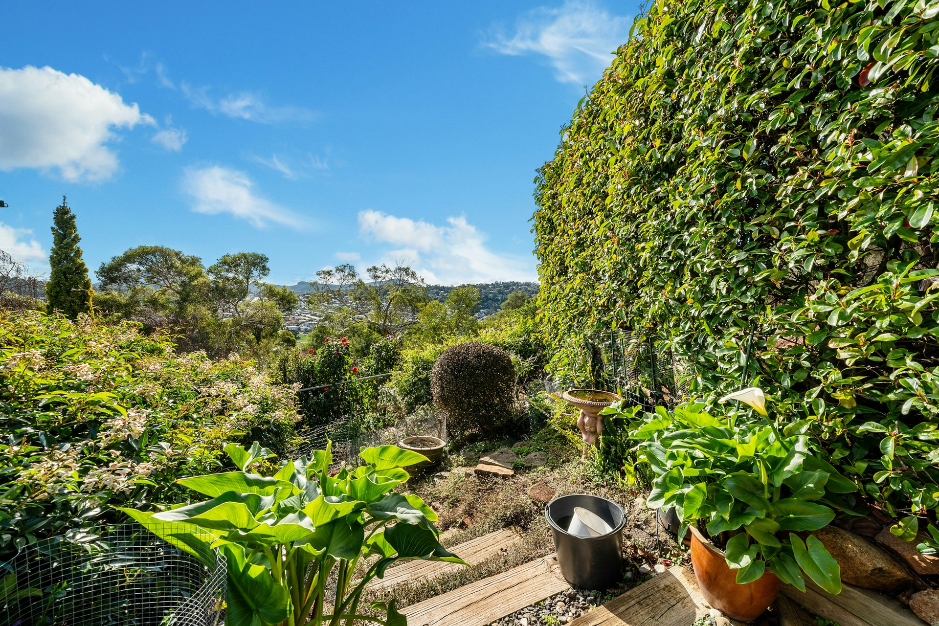 garden