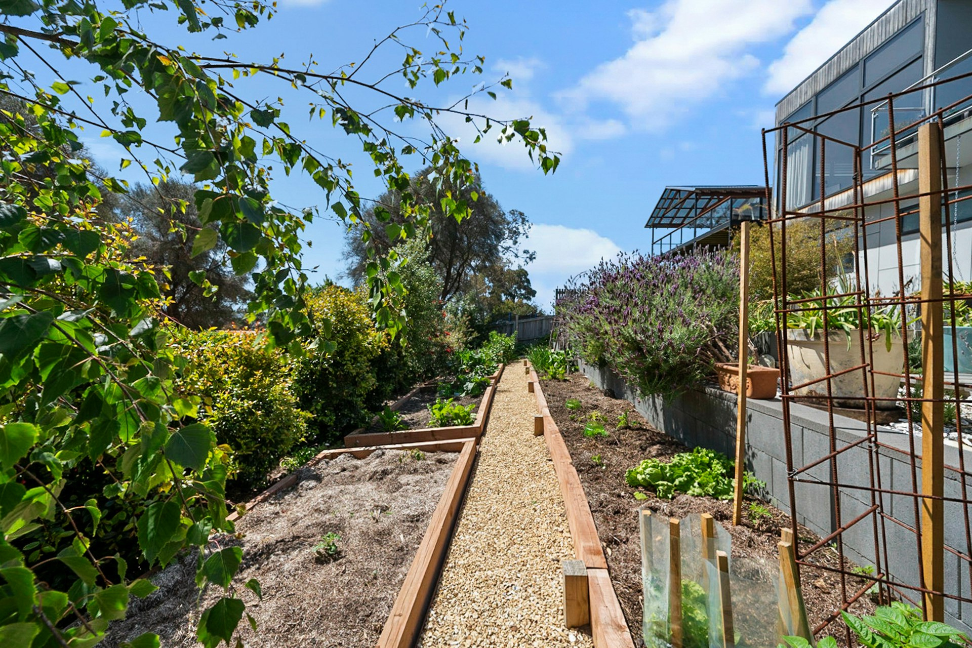 garden