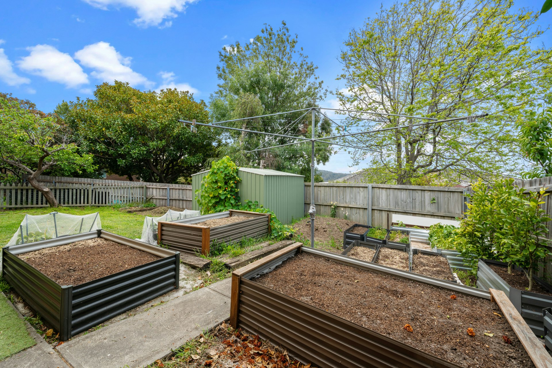 backyard