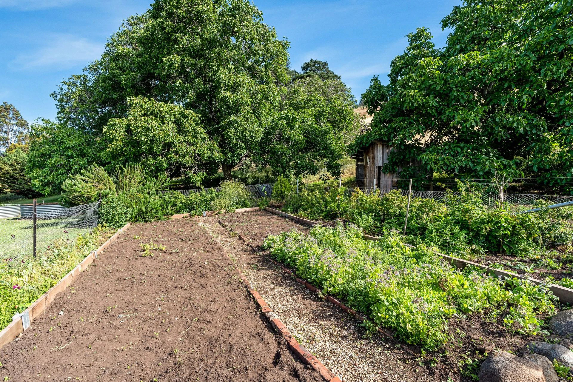 garden