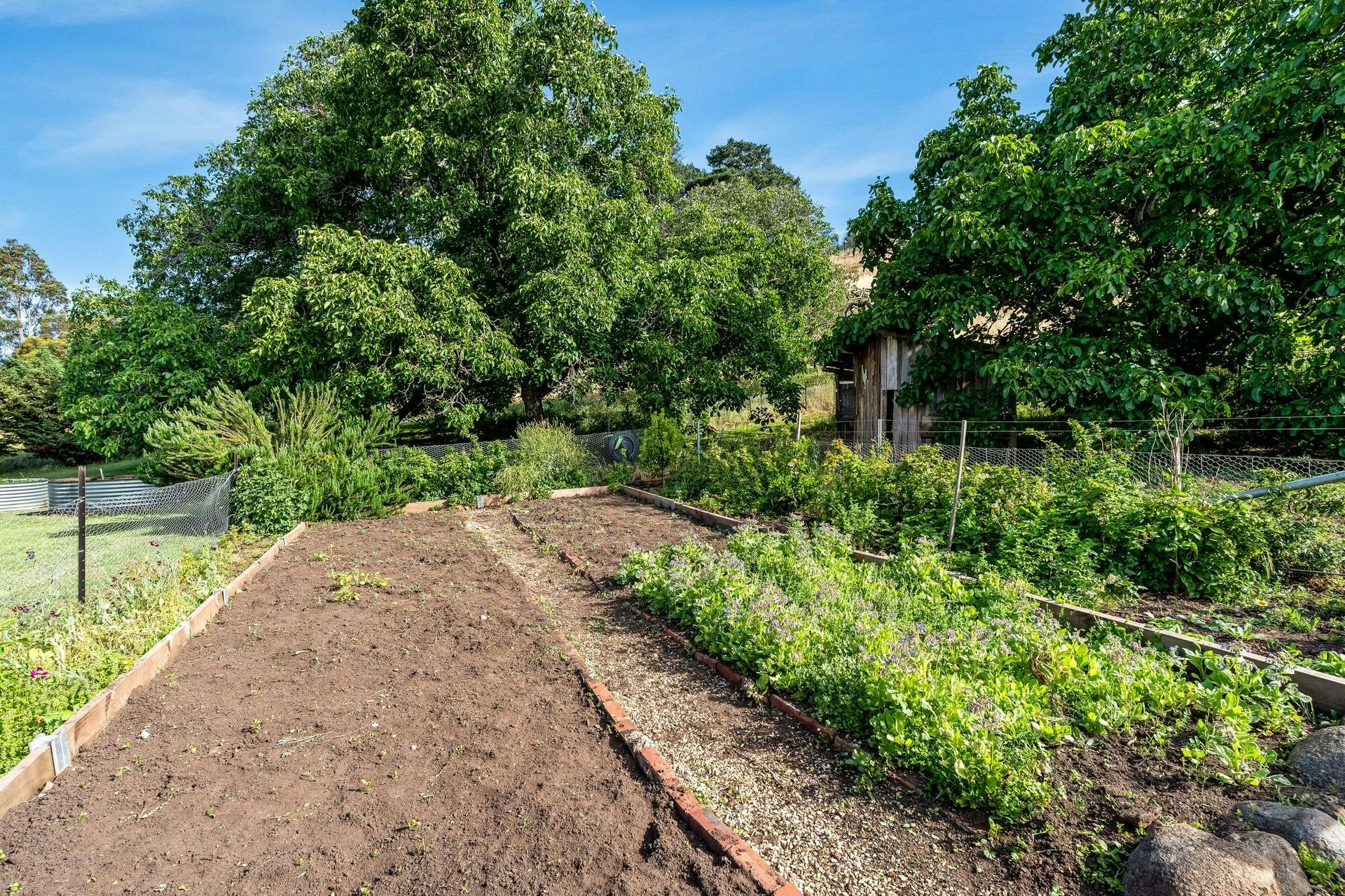 garden