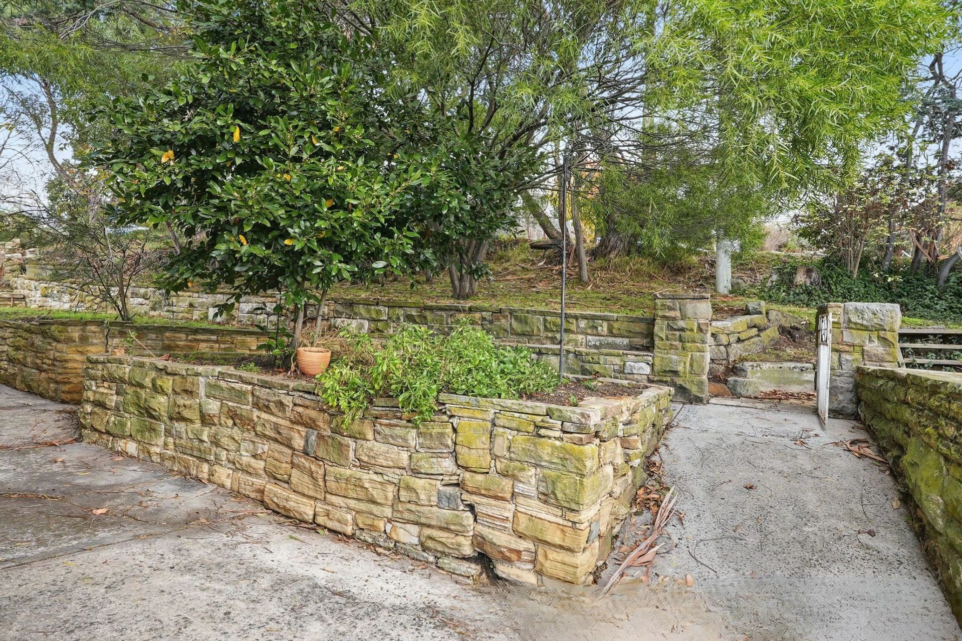 wall