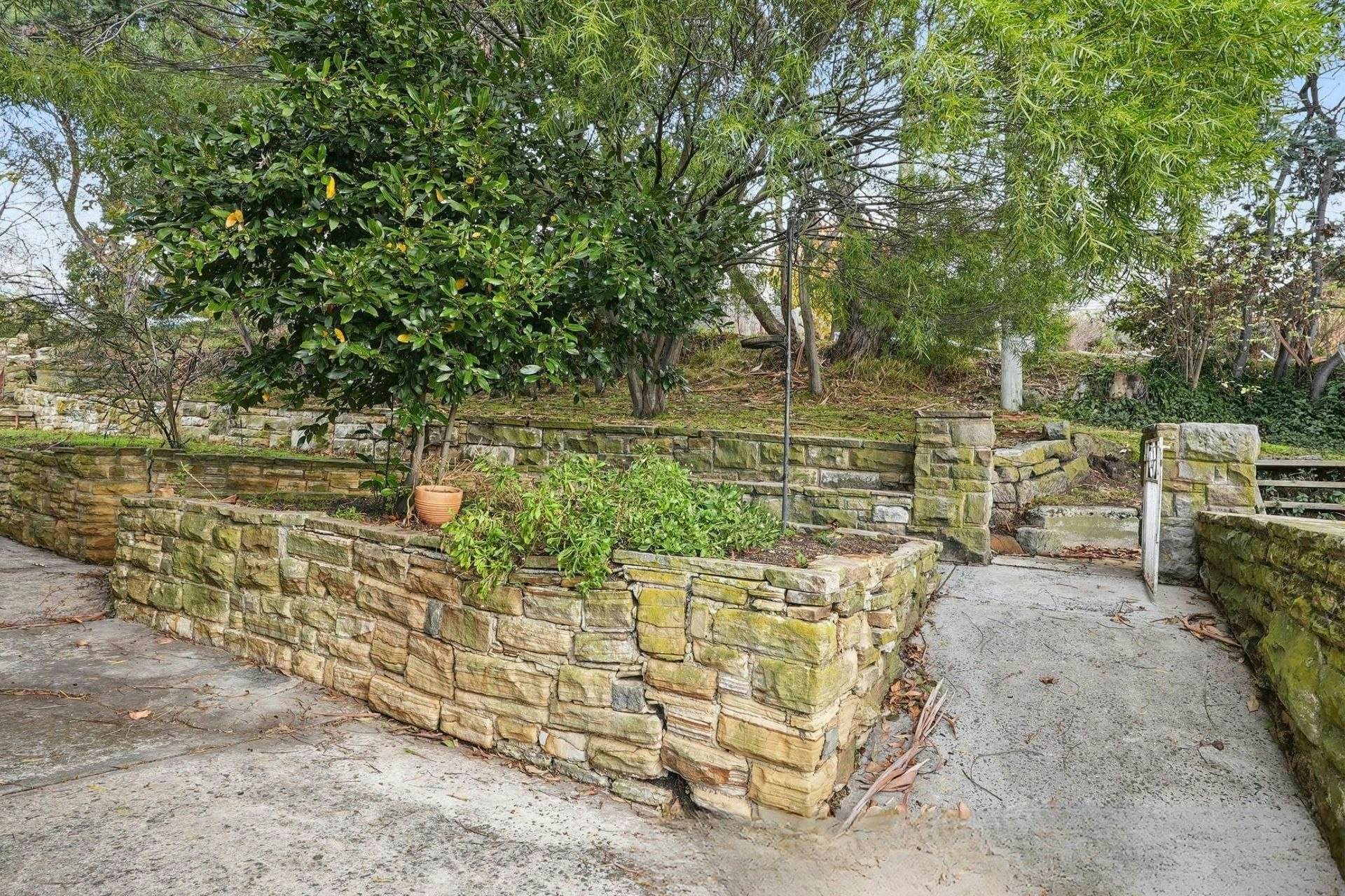 wall