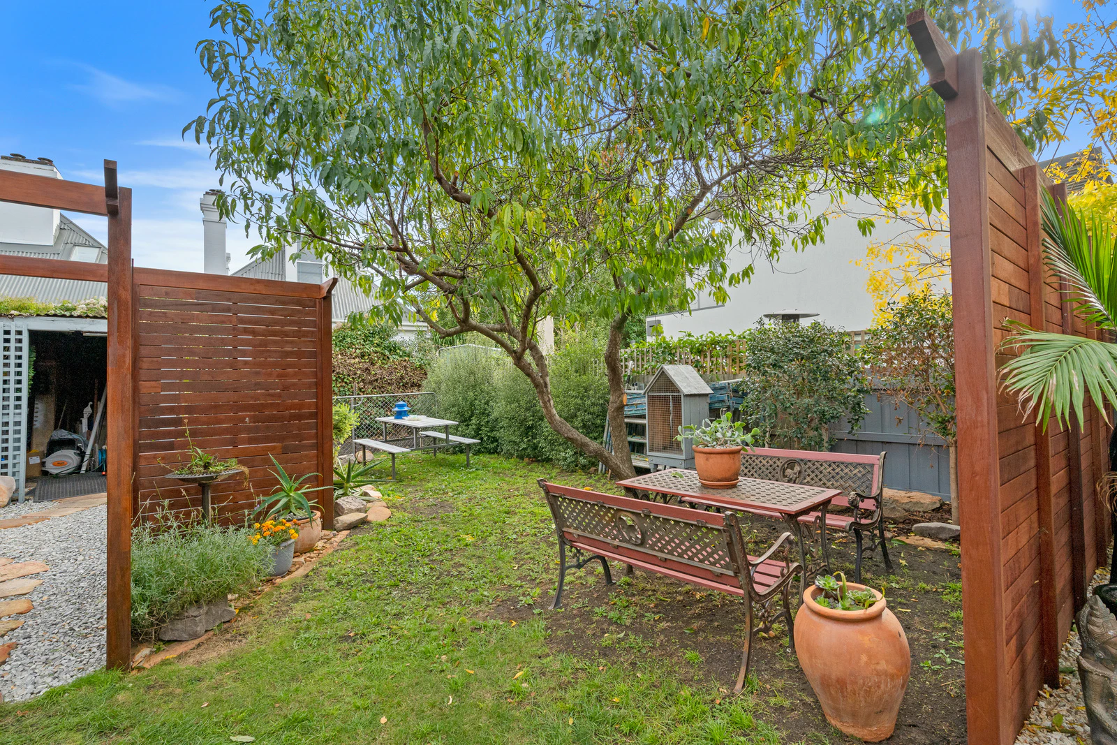 backyard